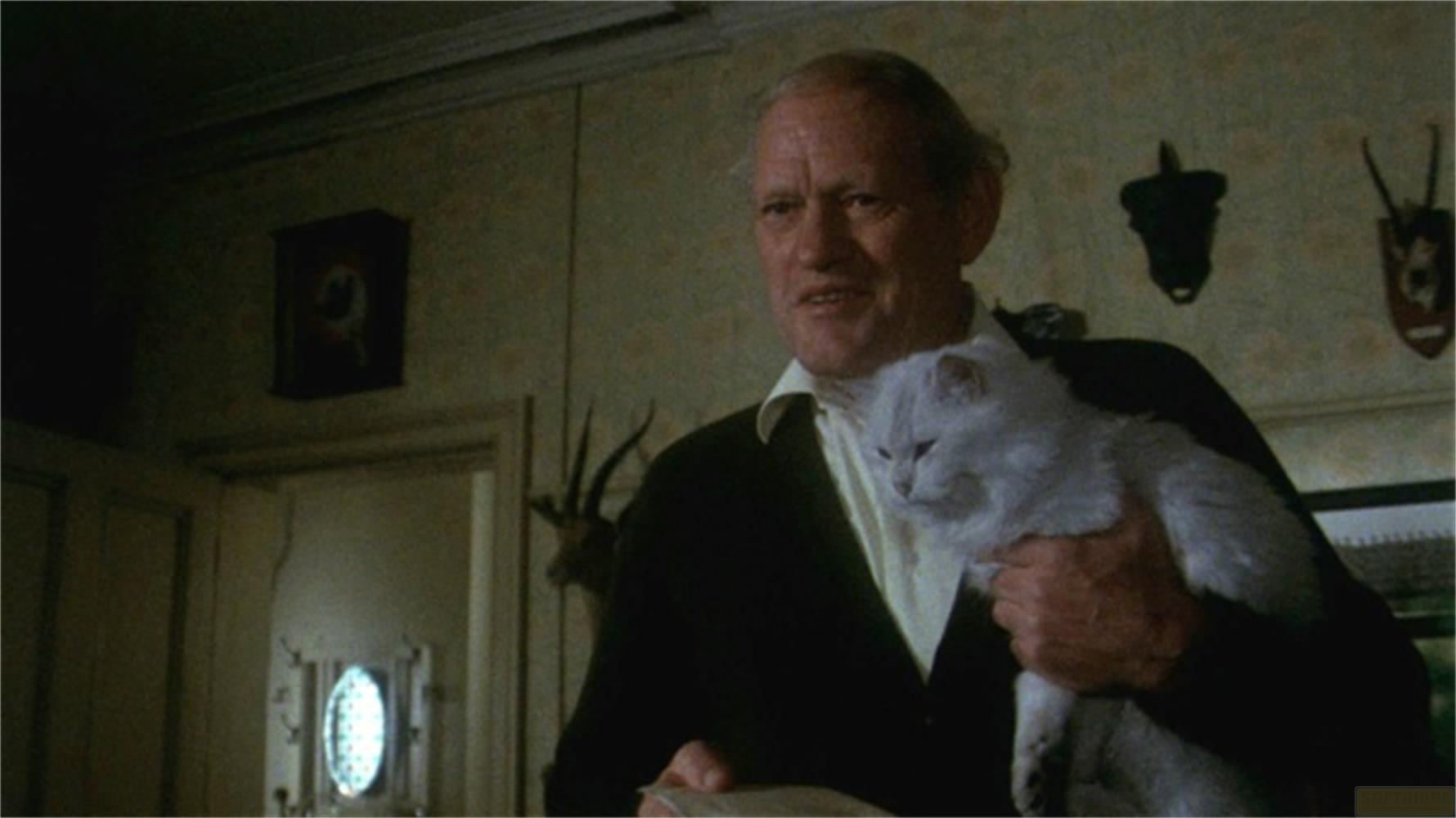 Un uomo tiene un gatto bianco. Indossa un maglione scuro e una camicia bianca.