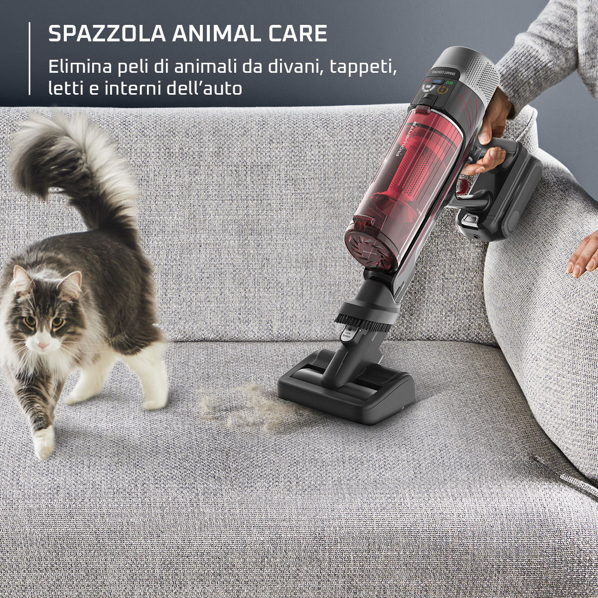 Un chat regarde un aspirateur aspirer les poils d'animaux sur un canapé.