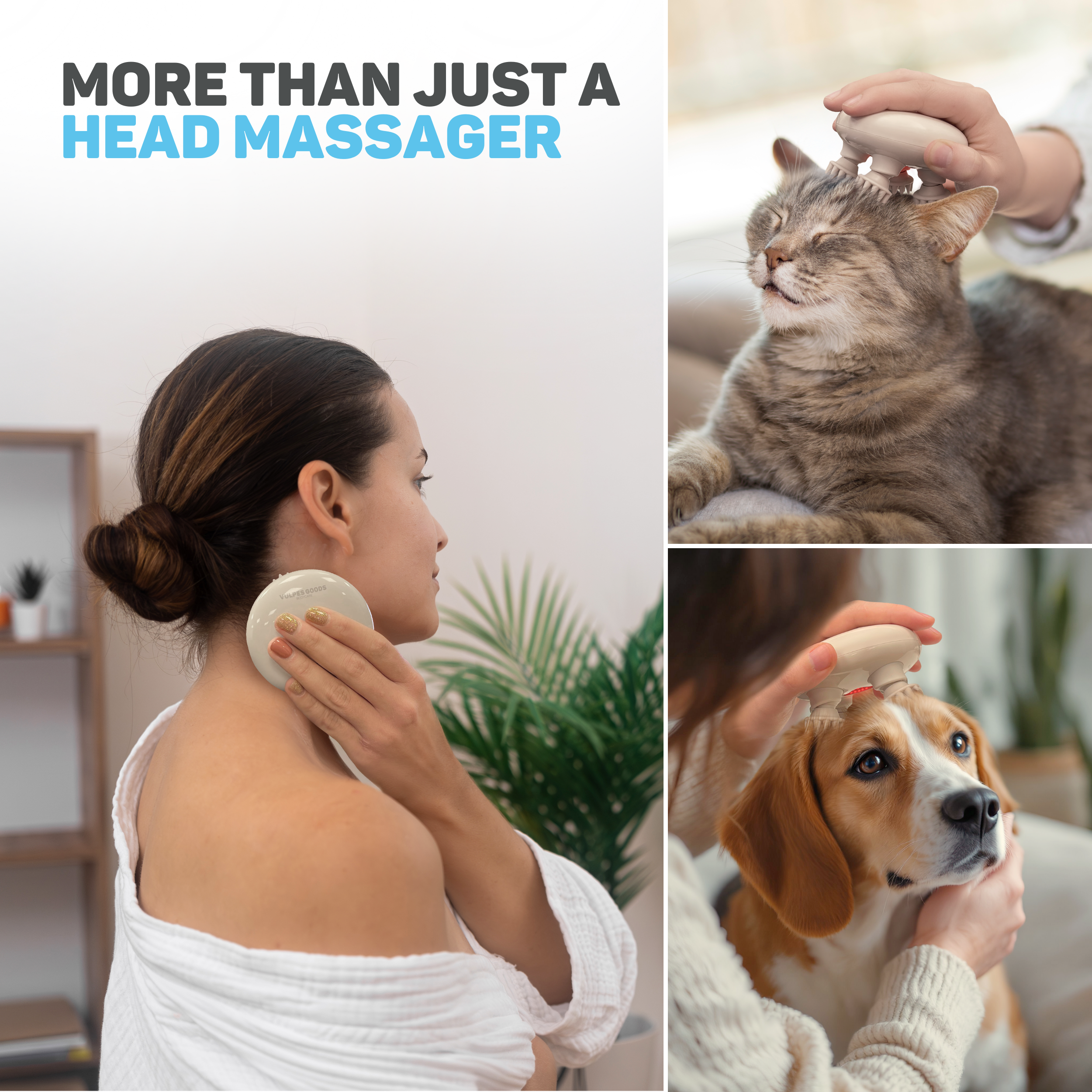 Een persoon masseert een kat en een hond met een hoofdmasseuse.