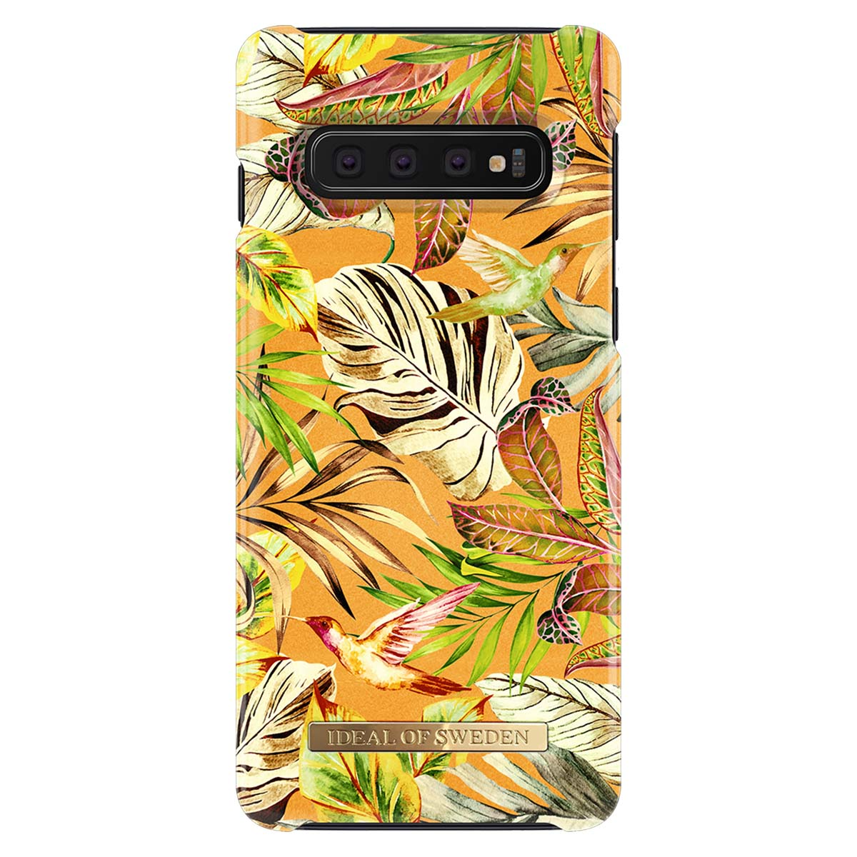 Custodia arancione con foglie tropicali e colibrì.