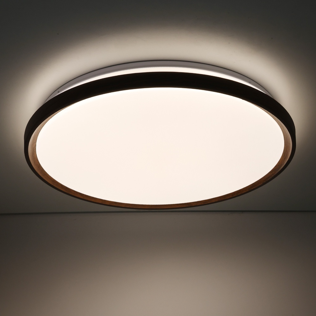 Una lámpara de techo redonda con borde oscuro y luz brillante.