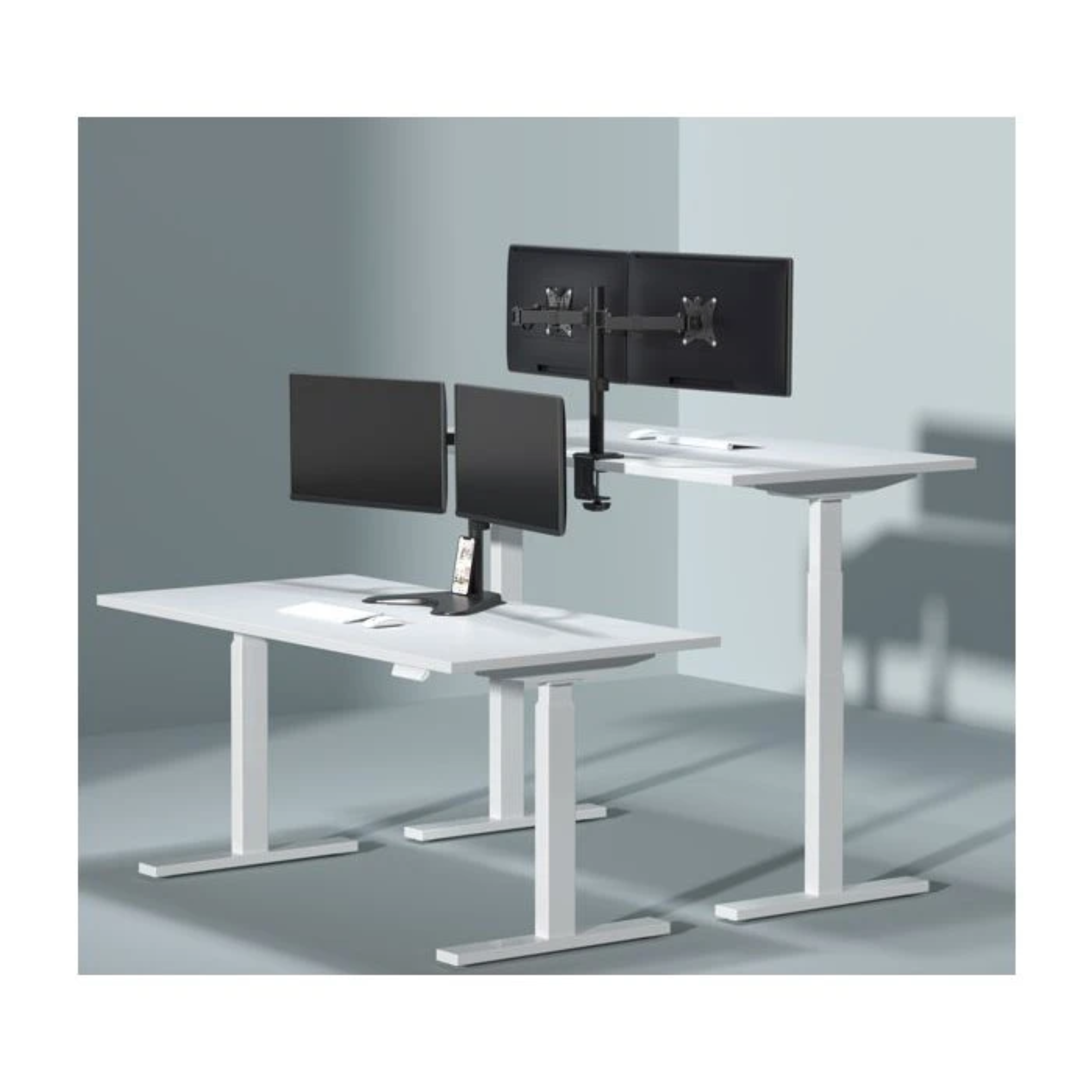 Zwei weiße höhenverstellbare Schreibtische mit drei schwarzen Monitoren.