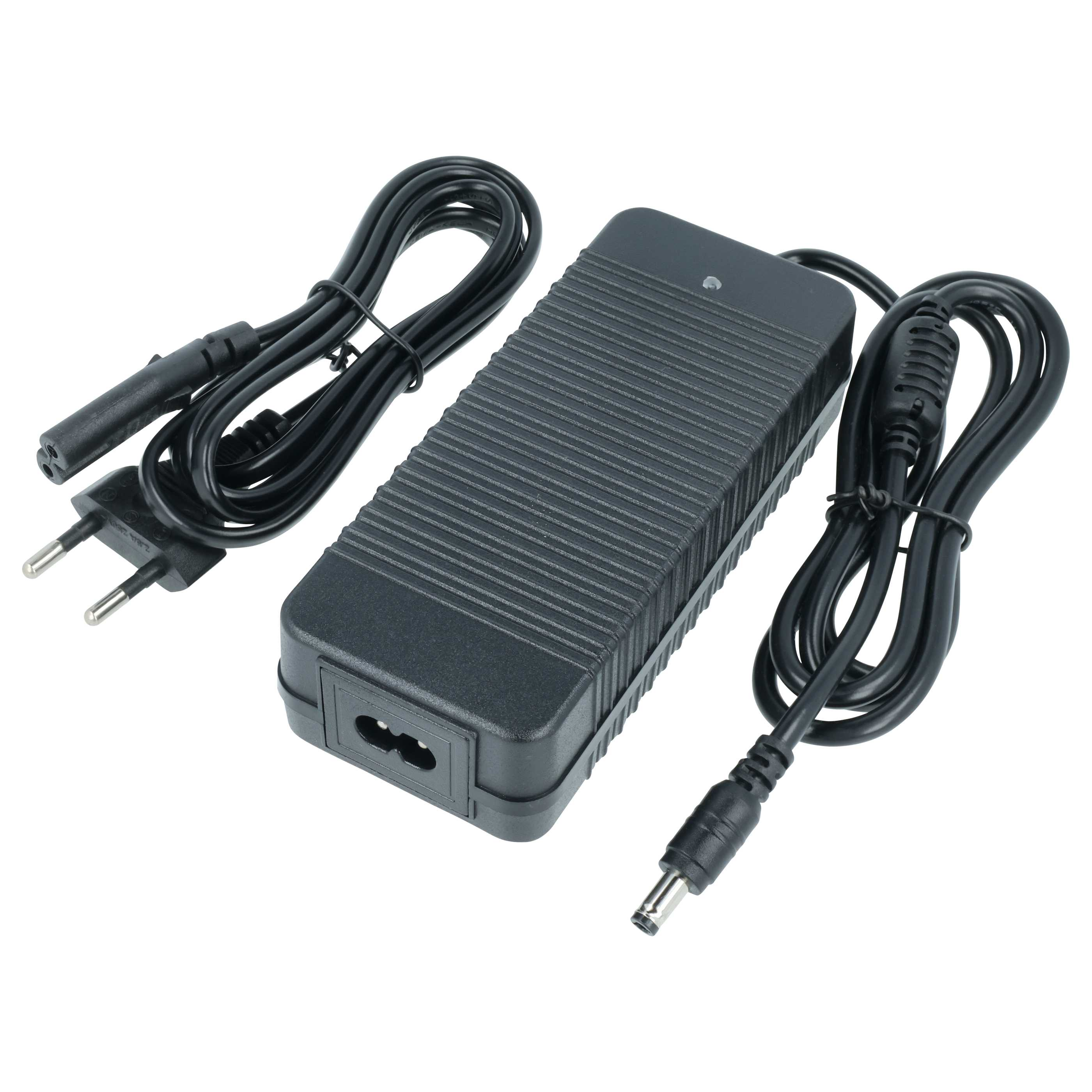 Schwarzer Netzadapter mit zwei Kabeln und Stecker, auf weißem Hintergrund.