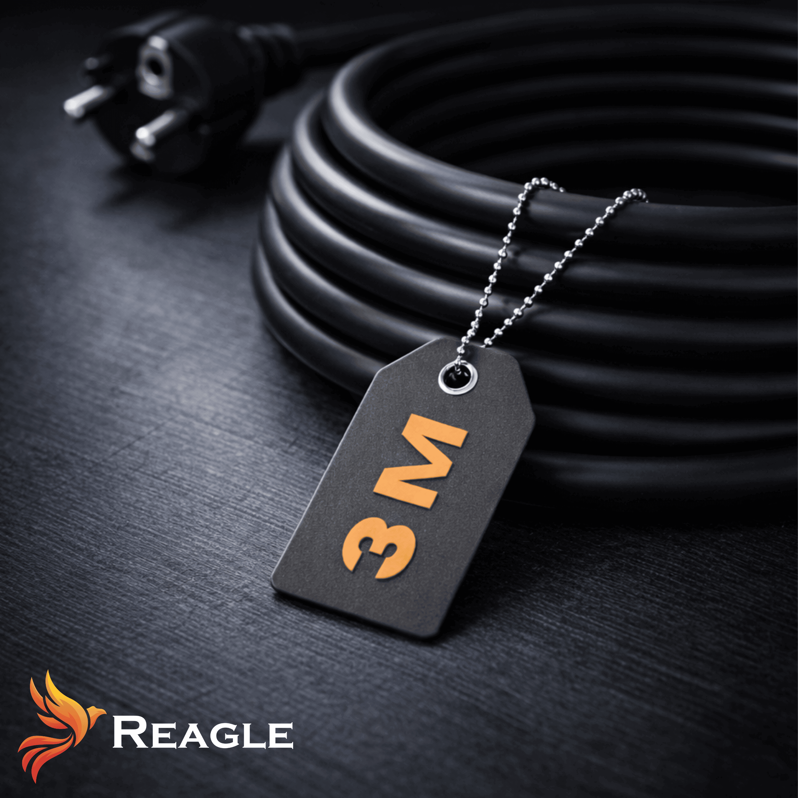 Czarny kabel zasilający z metką 3M, wtyczką i logo Reagle na ciemnej powierzchni.