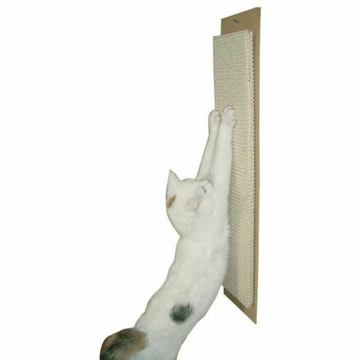 Un gatto bianco con macchie si allunga su un tiragraffi verticale.