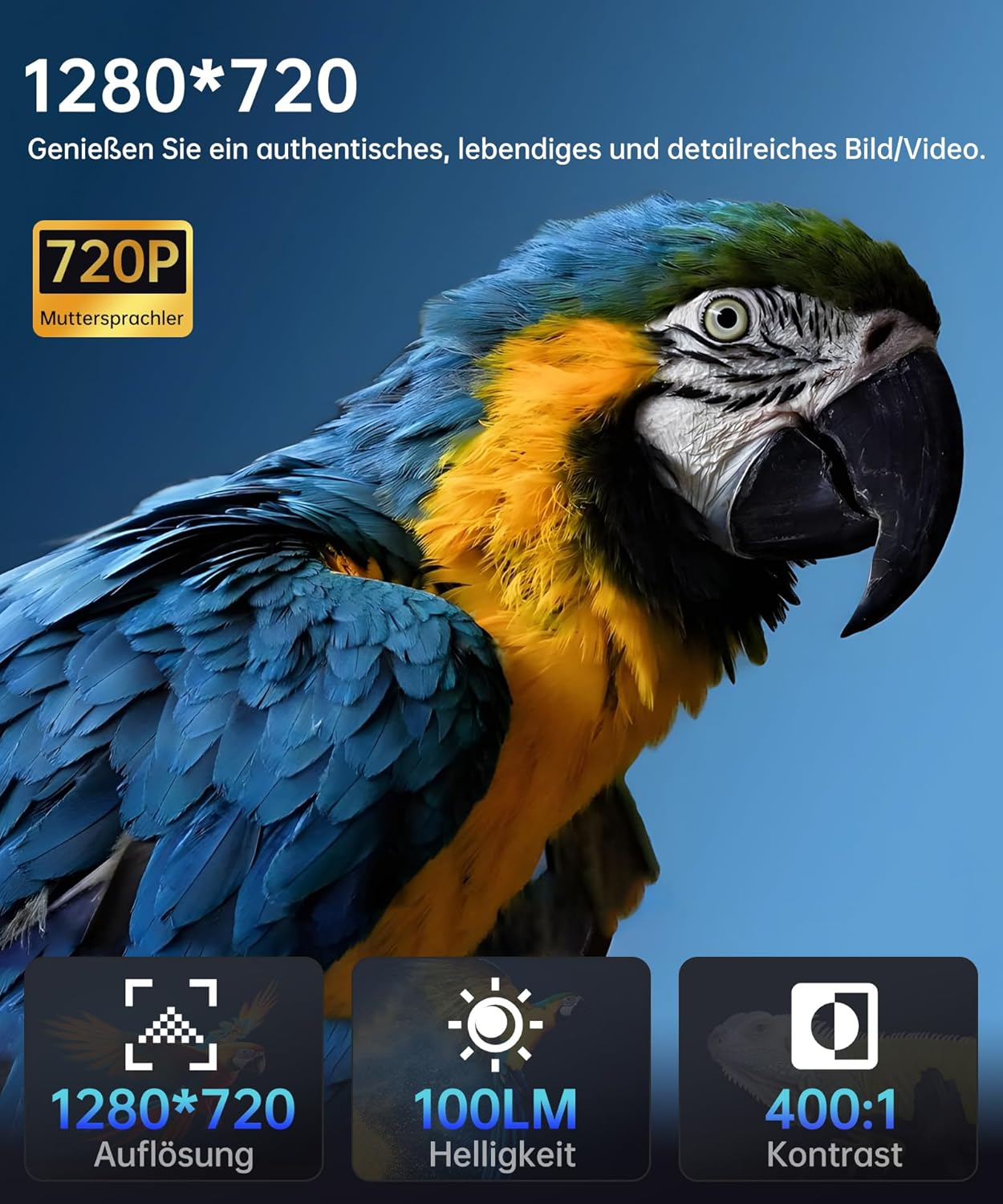 Ein blauer und gelber Ara mit Text über Auflösung, Helligkeit und Kontrast.
