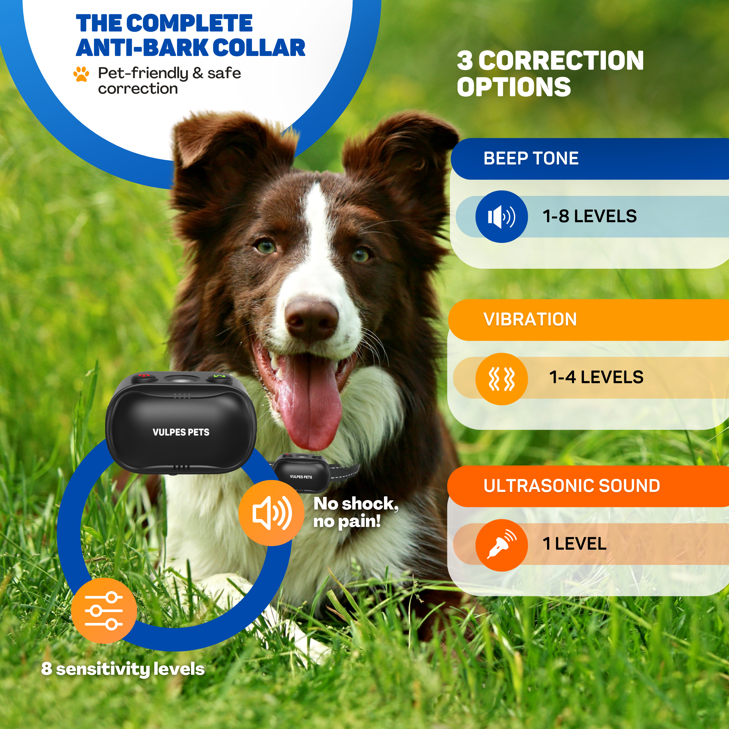 A dog wearing an anti-bark collar, with options for beep, vibration, and ultrasonic.