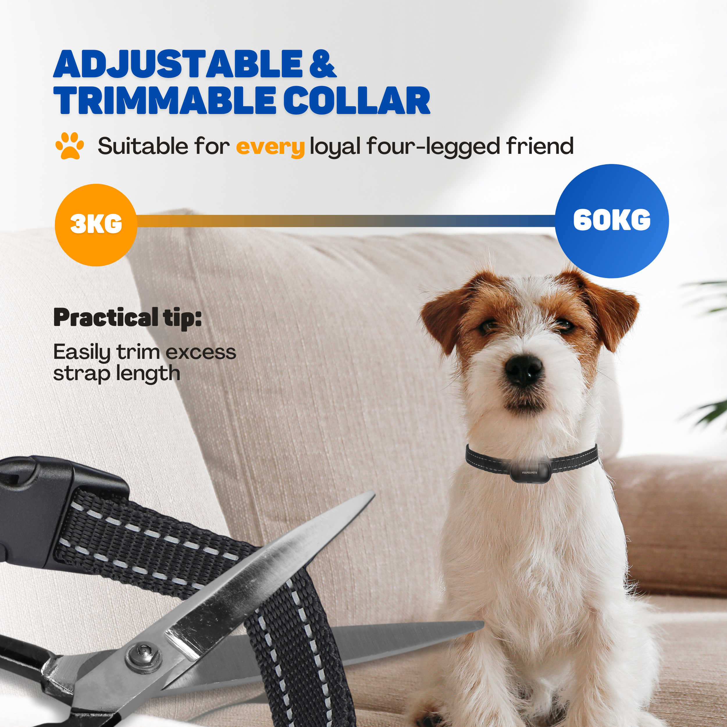 A dog wears an adjustable collar. Scissors lie next to it.