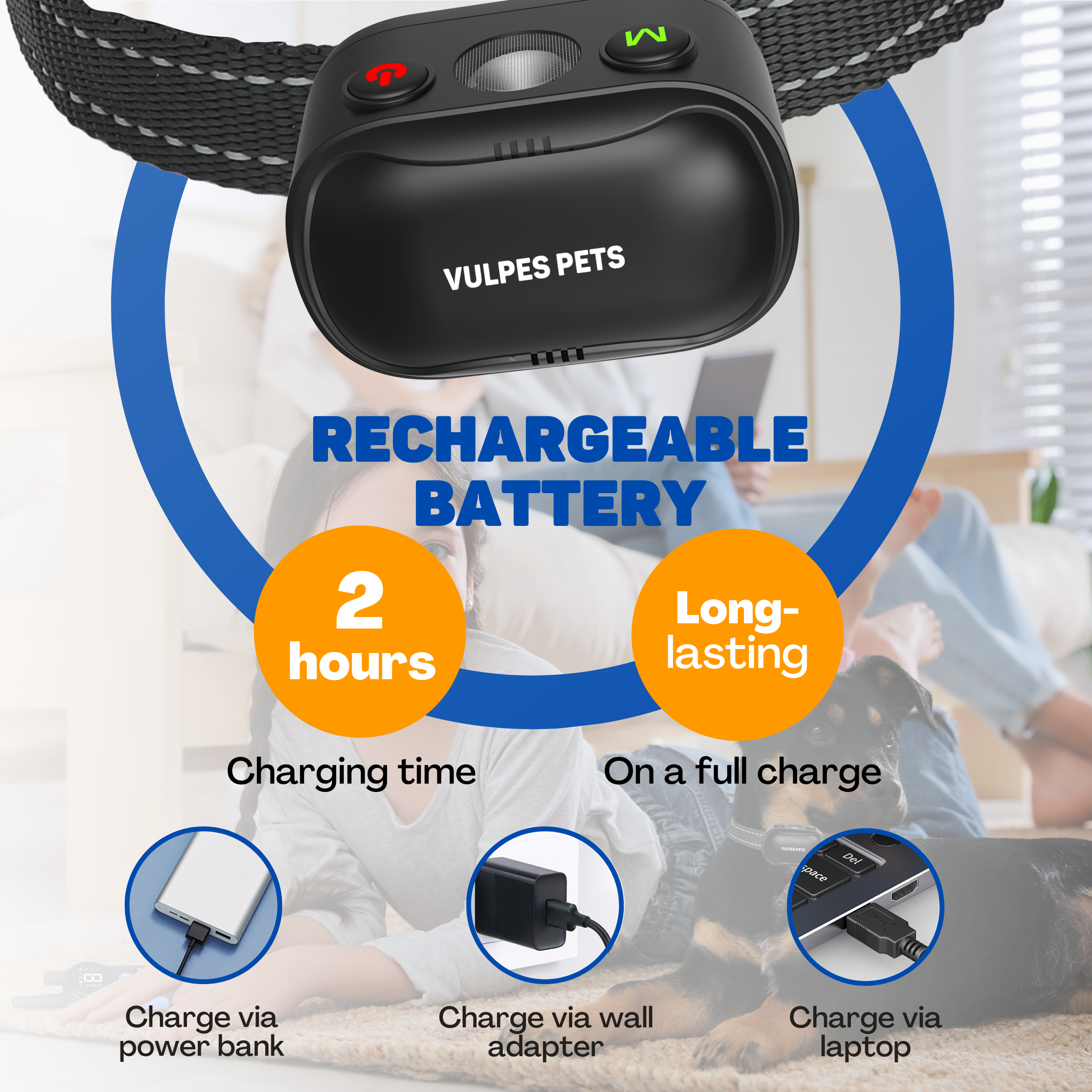 A dog collar with charging options: power bank, wall adapter, laptop.