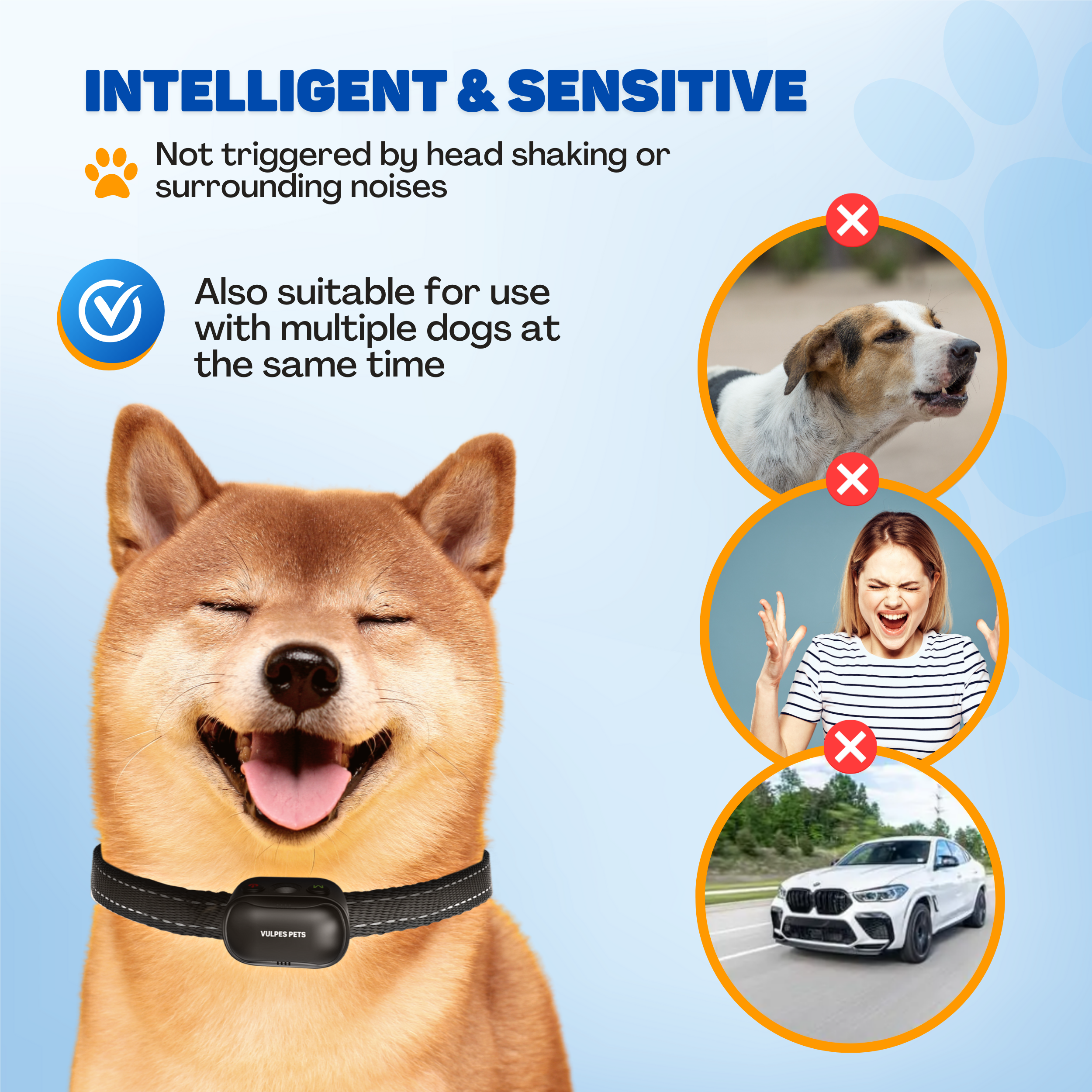 A Shiba Inu with a collar, next to examples of triggers.