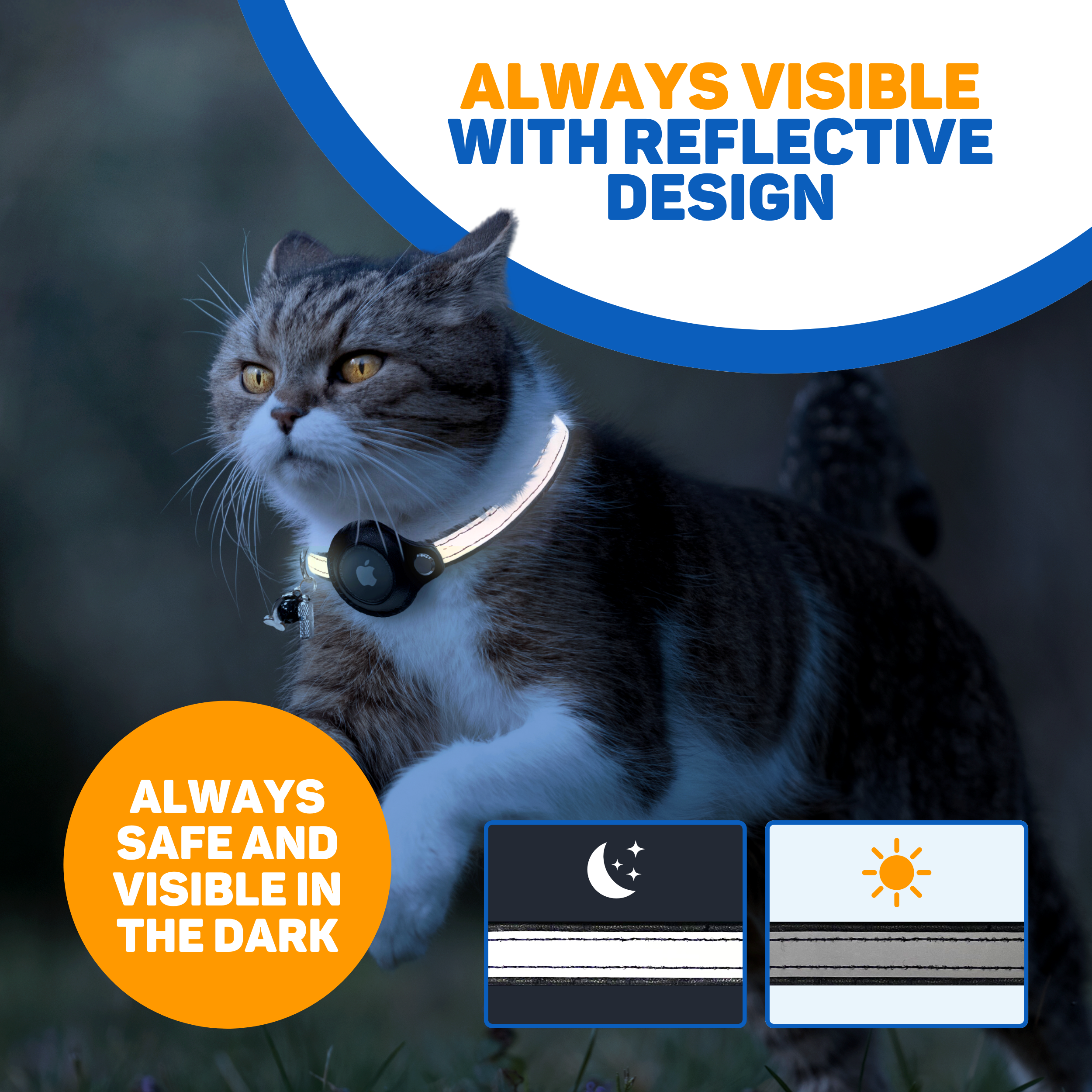 Eine Katze mit reflektierendem Halsband in der Dunkelheit, mit Textüberlagerungen.