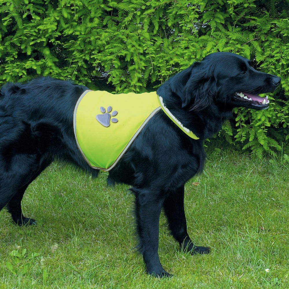 Perro negro con chaleco amarillo con huella de pata en el césped.