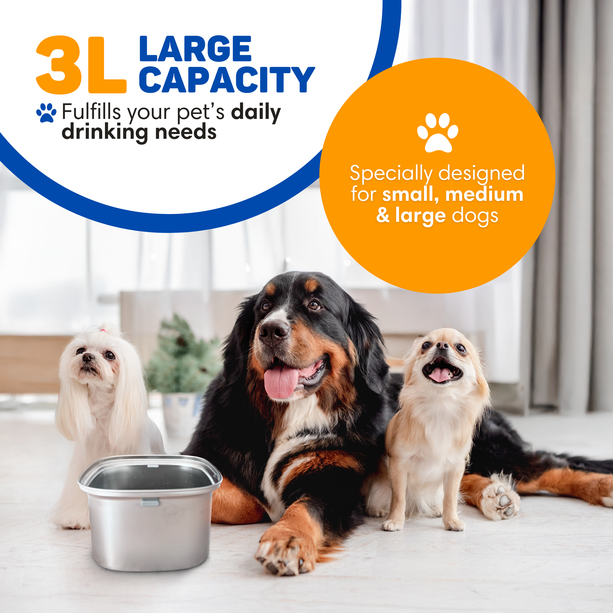 Three dogs, a large Bernese Mountain Dog, a white Maltese, and a Chihuahua, lie near a water bowl.