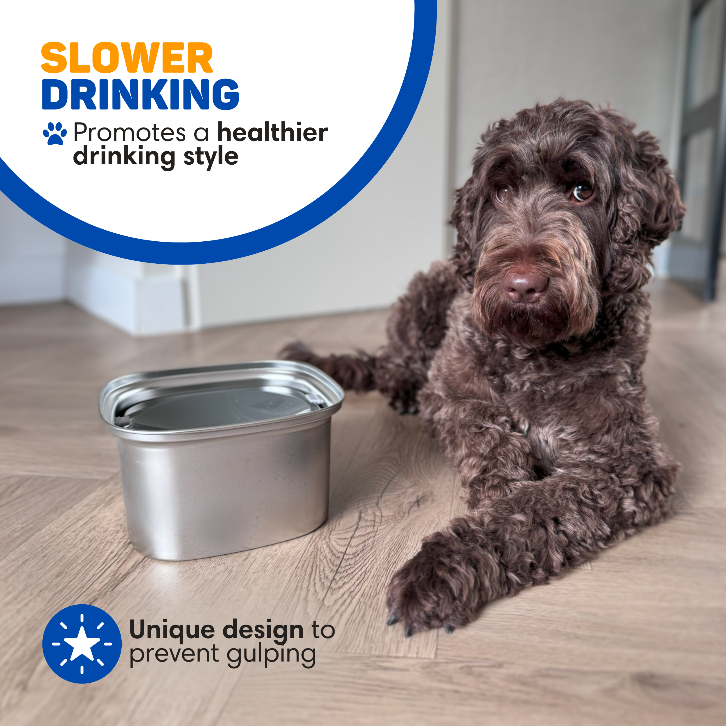 A brown dog lies next to a water bowl on a wooden floor.