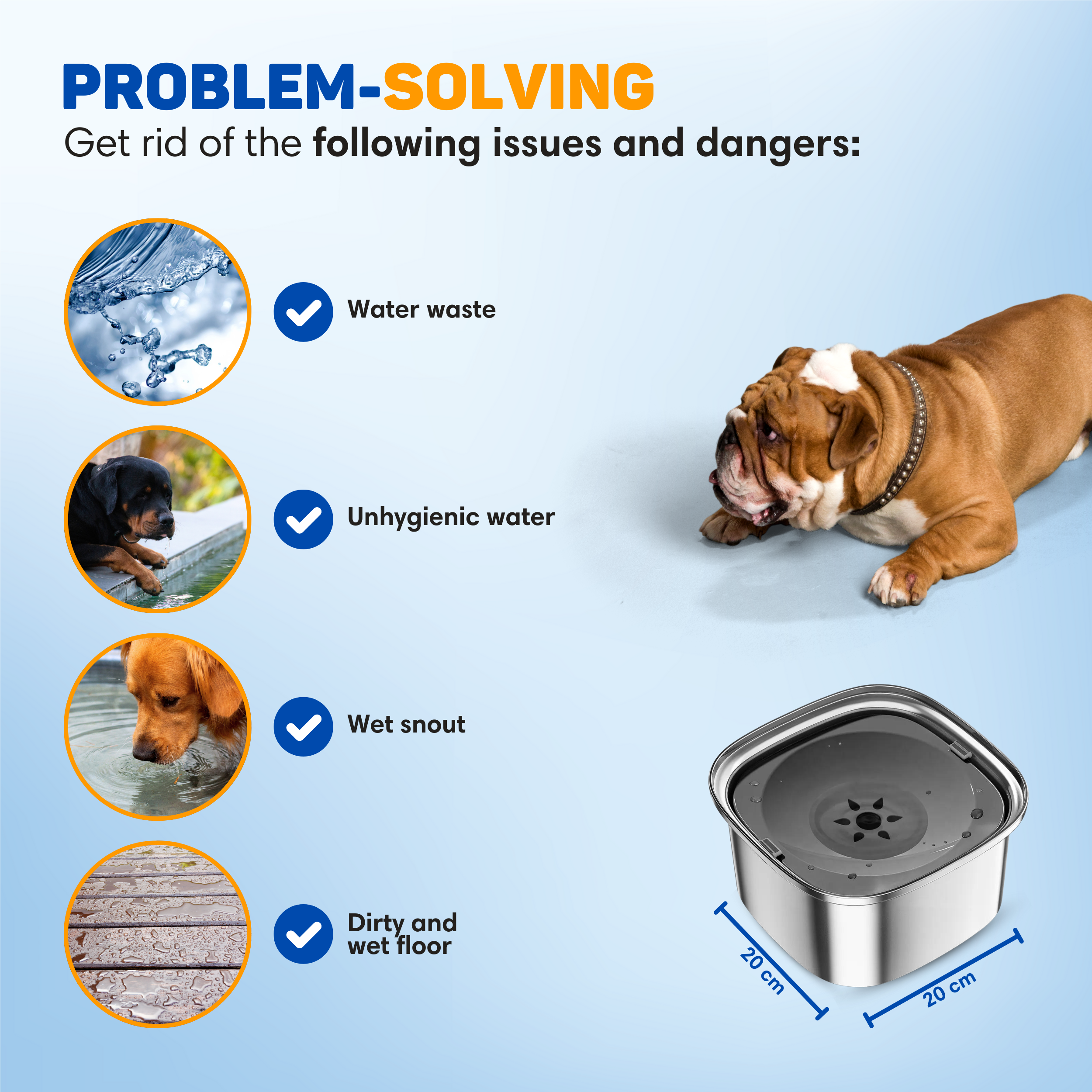 A dog drinks from a bowl, next to images of water, dogs, and a wet floor.