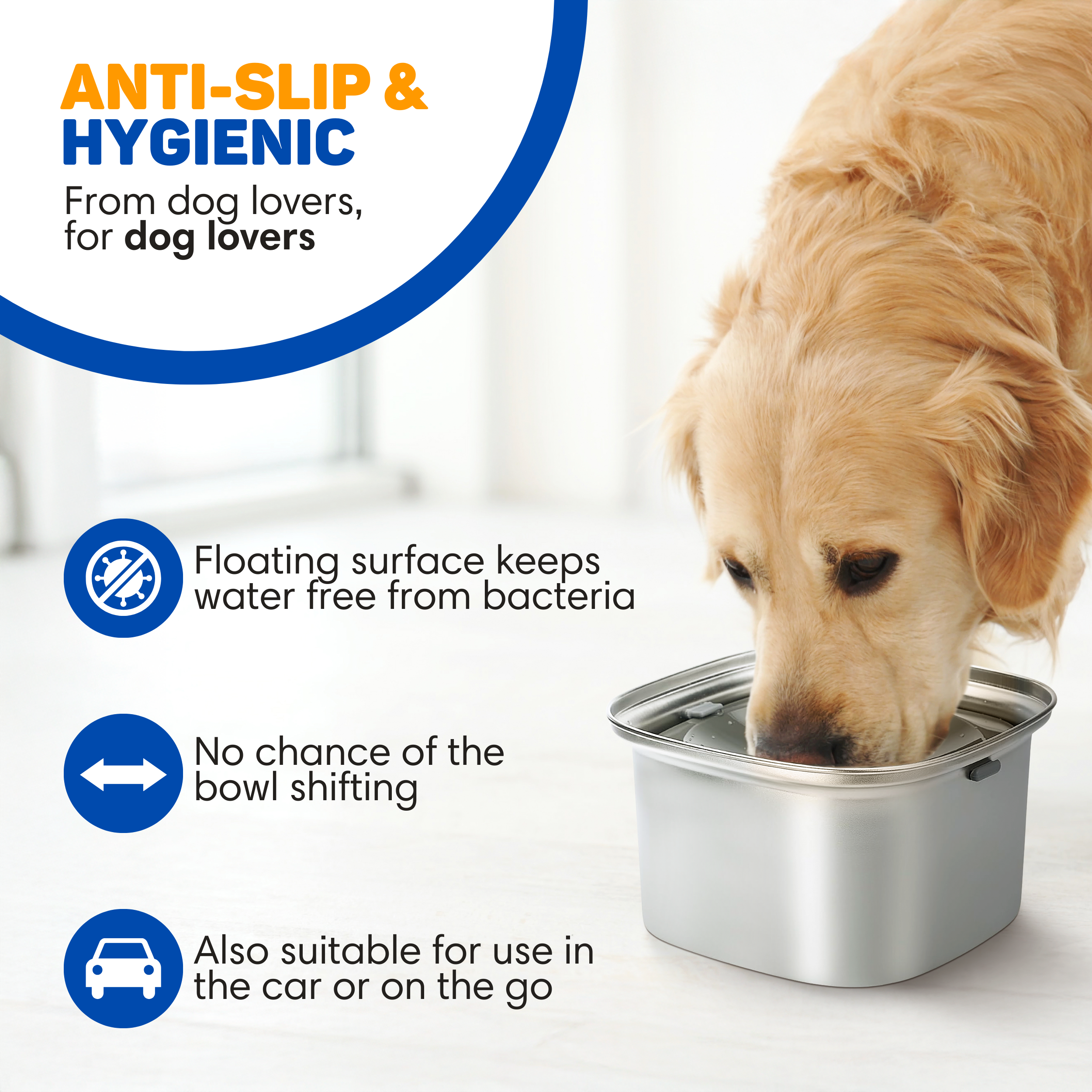 A Golden Retriever drinks from a silver bowl. Anti-slip and hygienic.