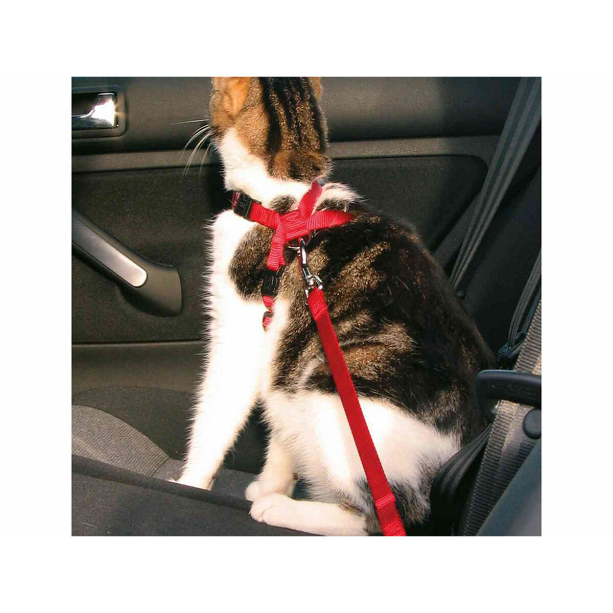 Un gato con arnés rojo sentado en asiento de coche.