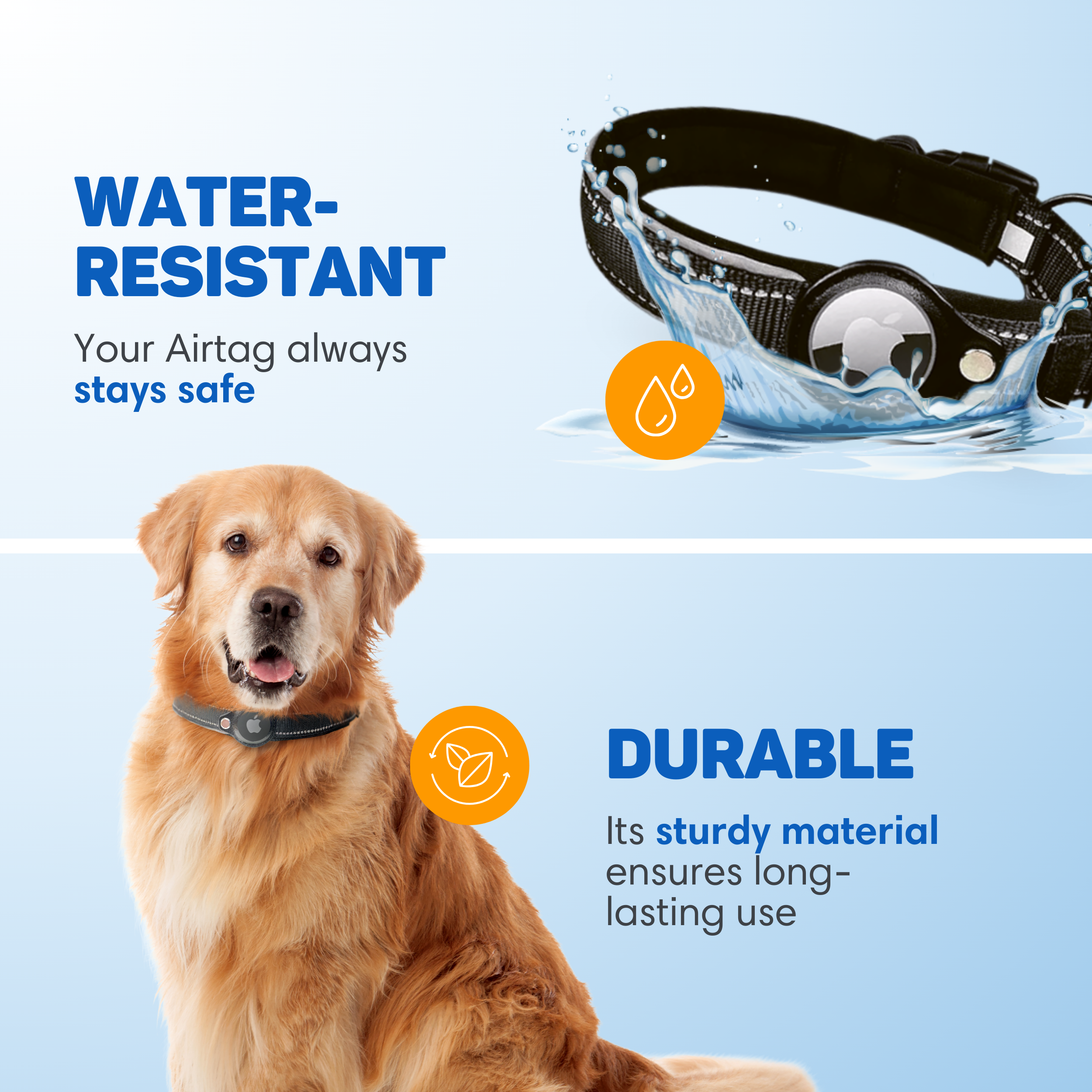 Goldener Retriever mit AirTag-Halsband, wasser- und stoßfest.