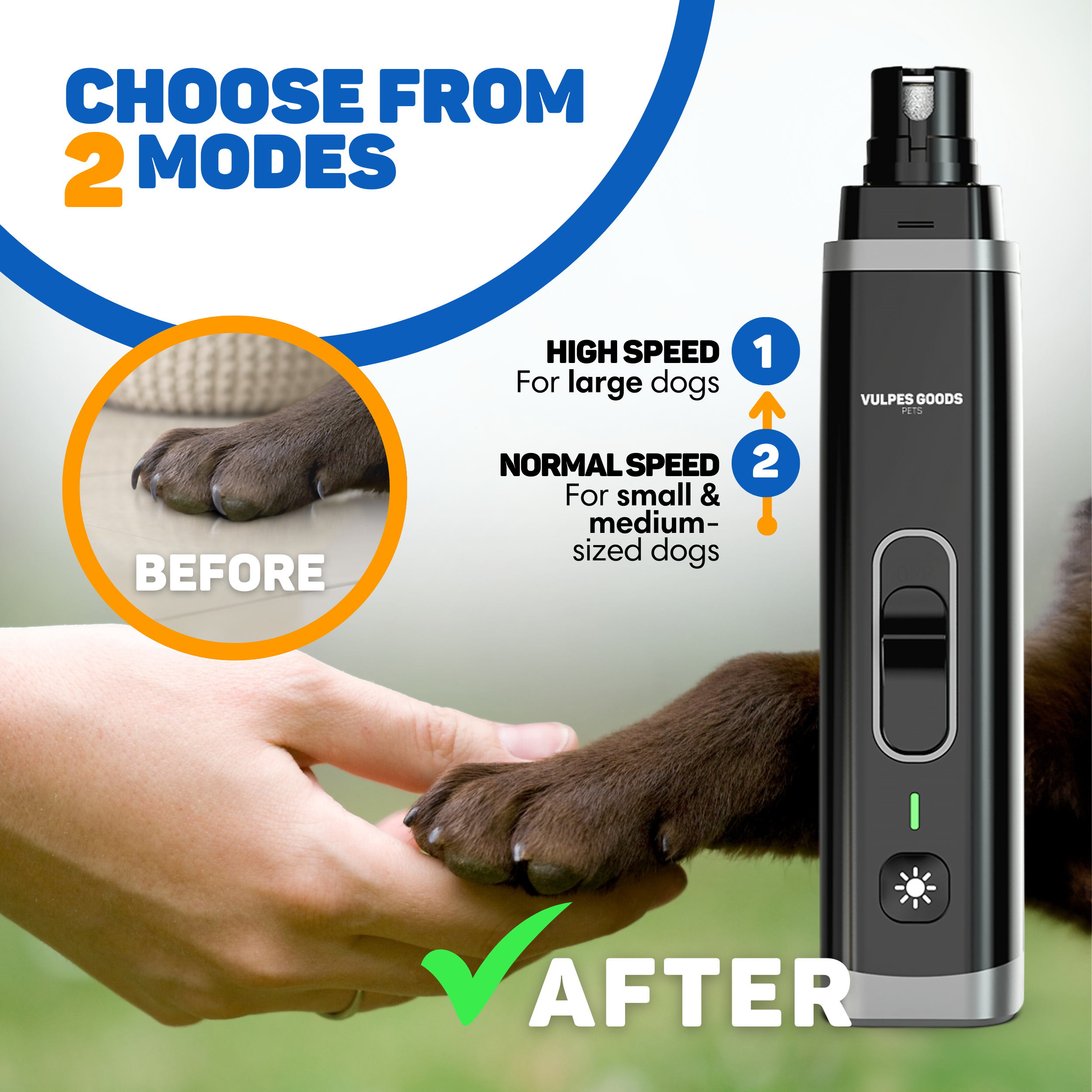 Hundepfote vor und nach der Krallenpflege mit einem elektrischen Krallenschleifer.