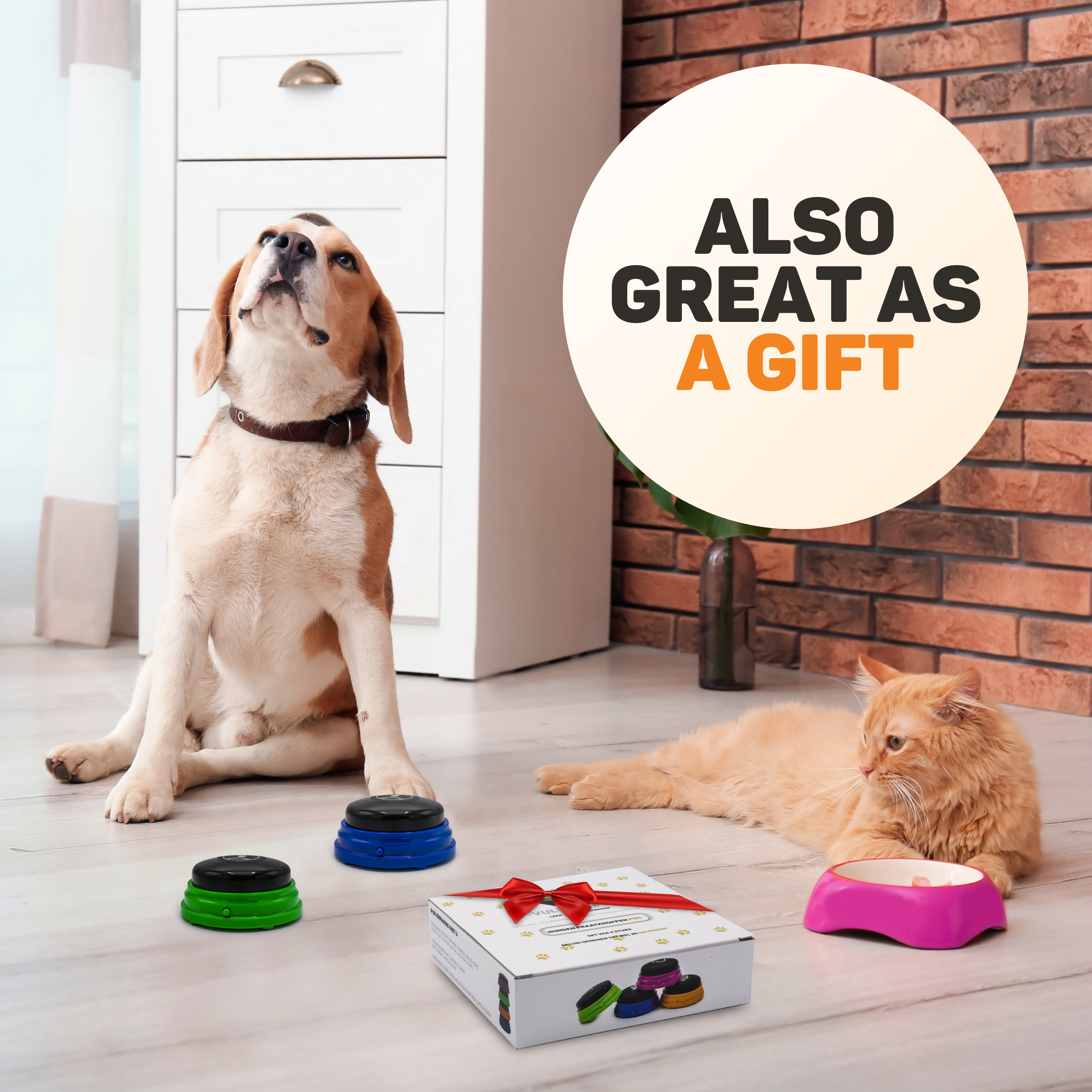 Ein Hund und eine Katze liegen auf dem Boden neben Geschenken.