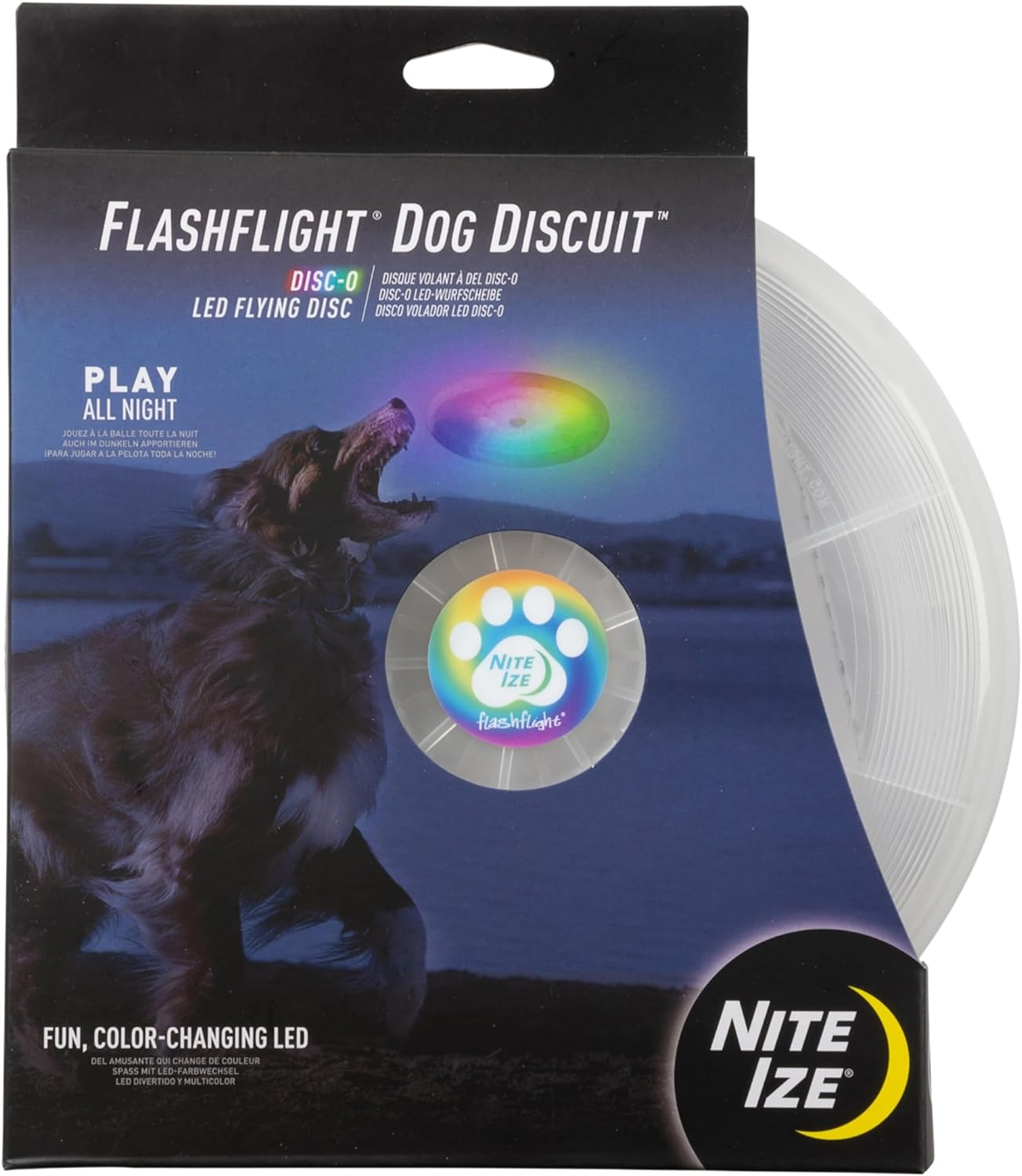 Un cane insegue un disco luminoso al buio.