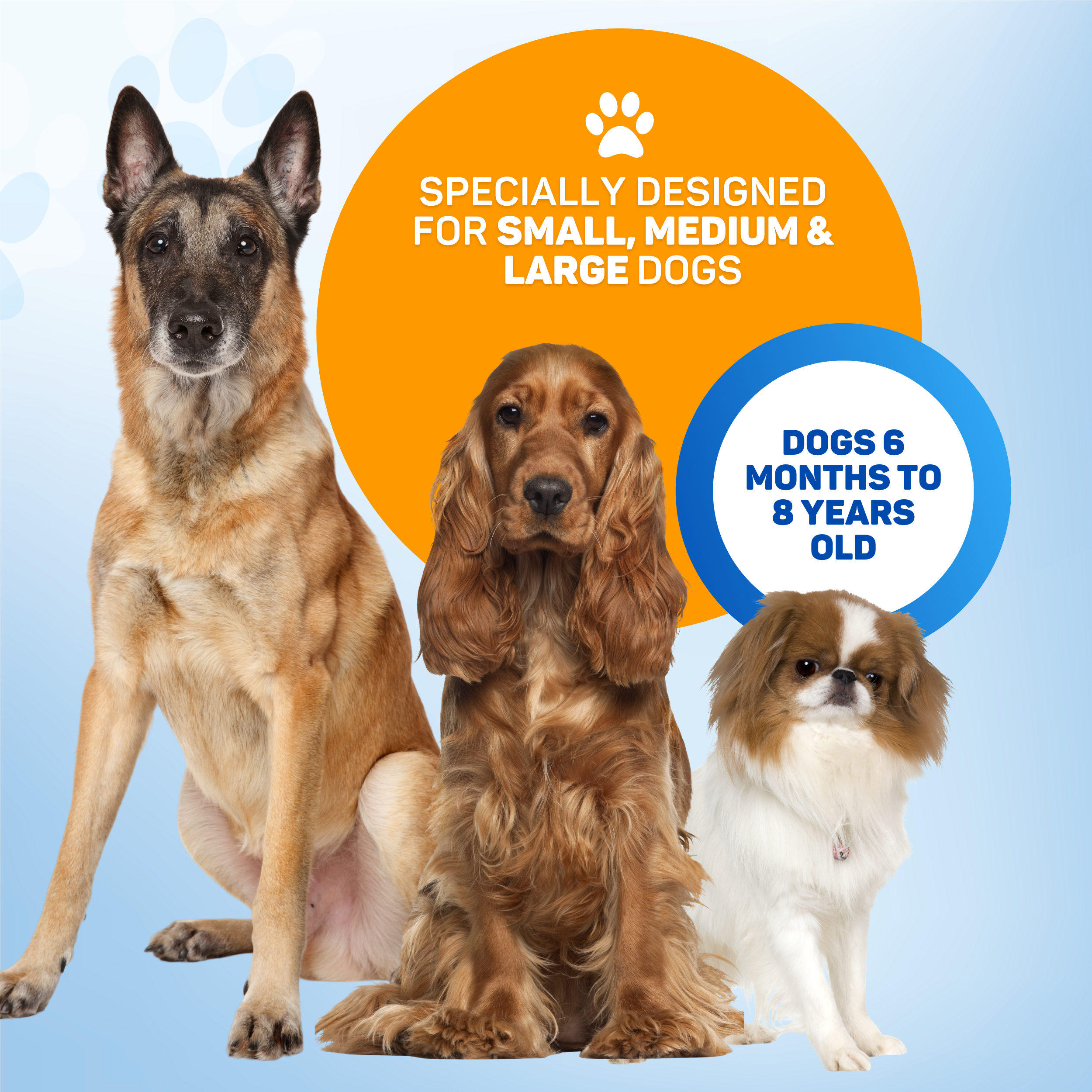 Three dogs: German Shepherd, Cocker Spaniel, and Japanese Chin. Specially designed for dogs.