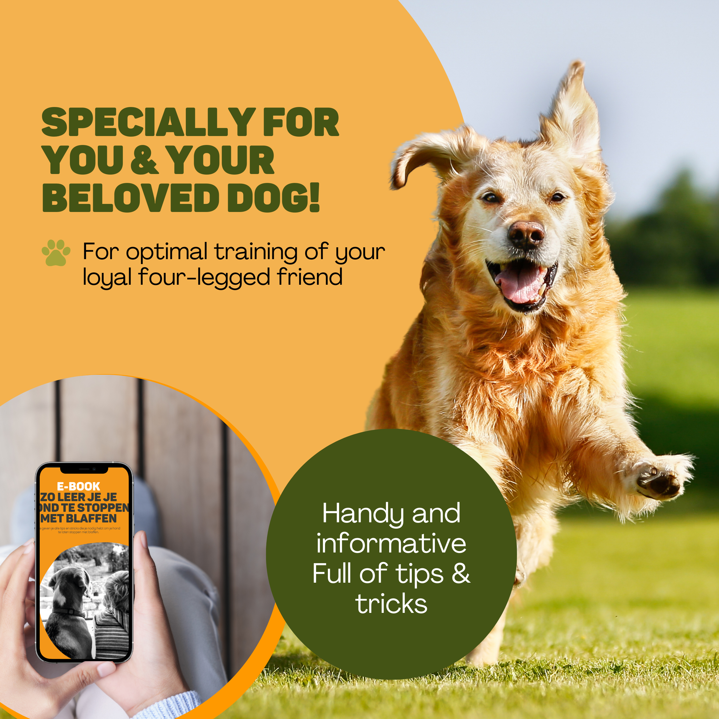 Ein Hund rennt über eine Wiese, mit Text über Hundetraining und ein E-Book.