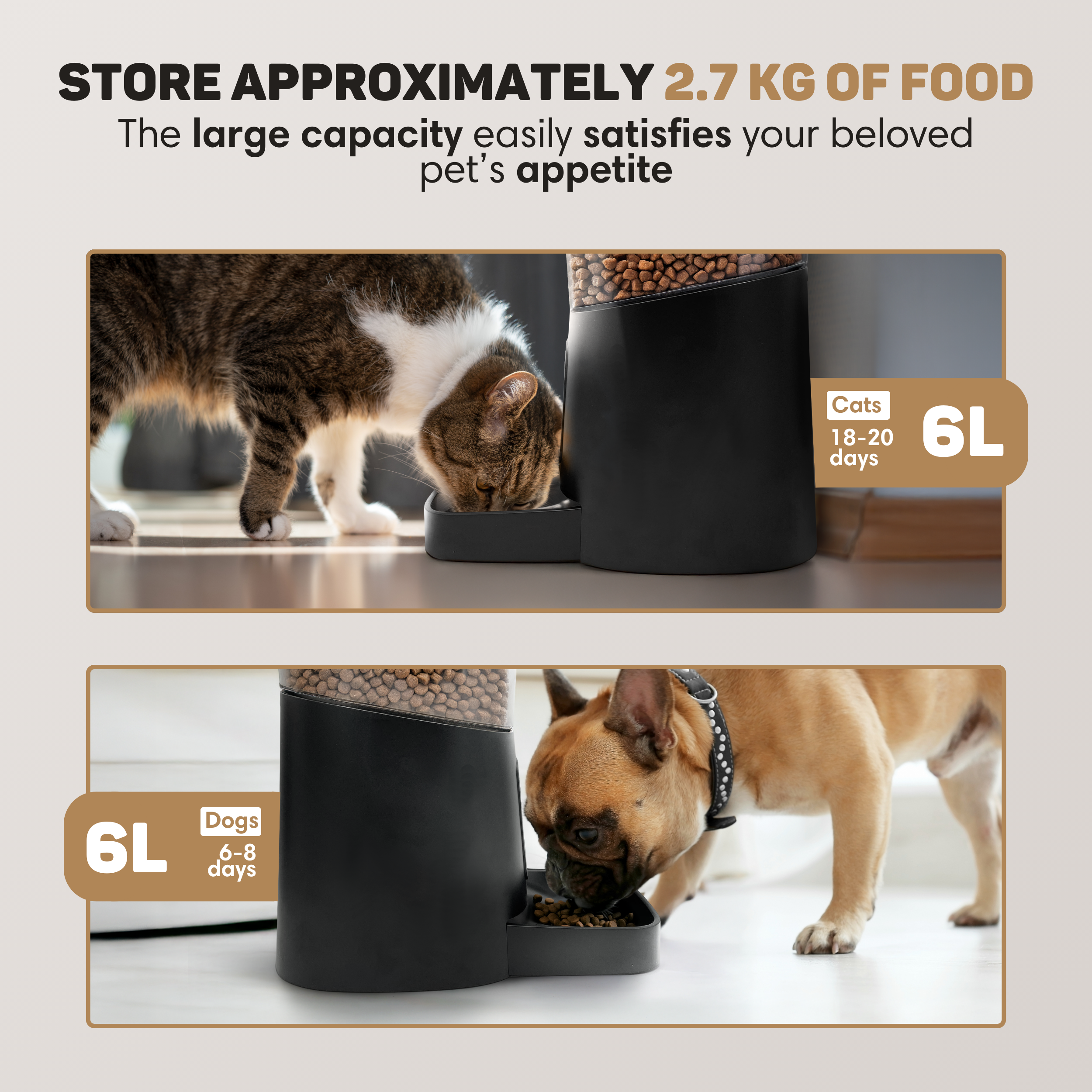 Eine Katze frisst aus einem schwarzen Futterspender, daneben ein Hund.