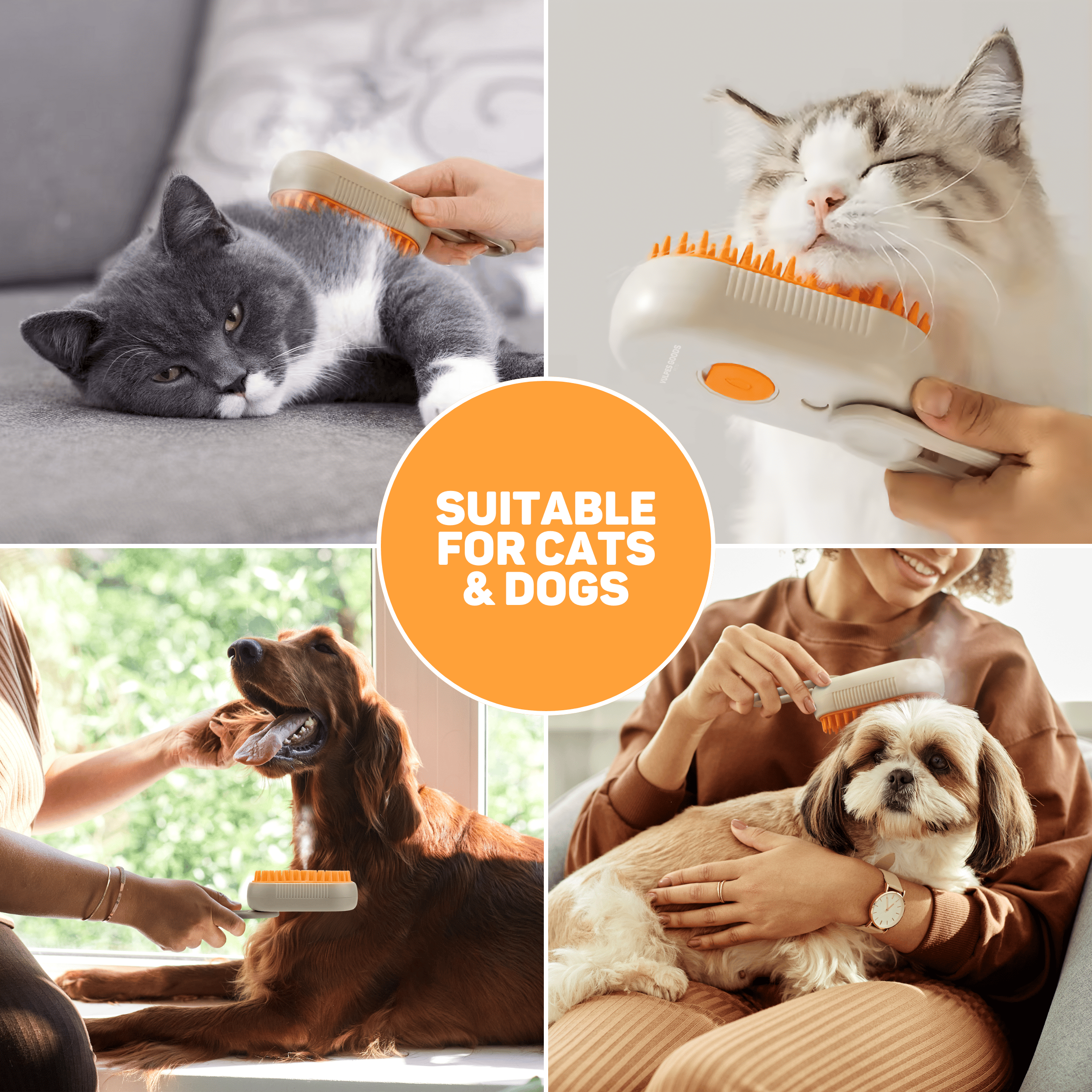 Vier Haustiere werden mit einem Dampfbürste gepflegt: Katze, Hund, Katze, Hund.