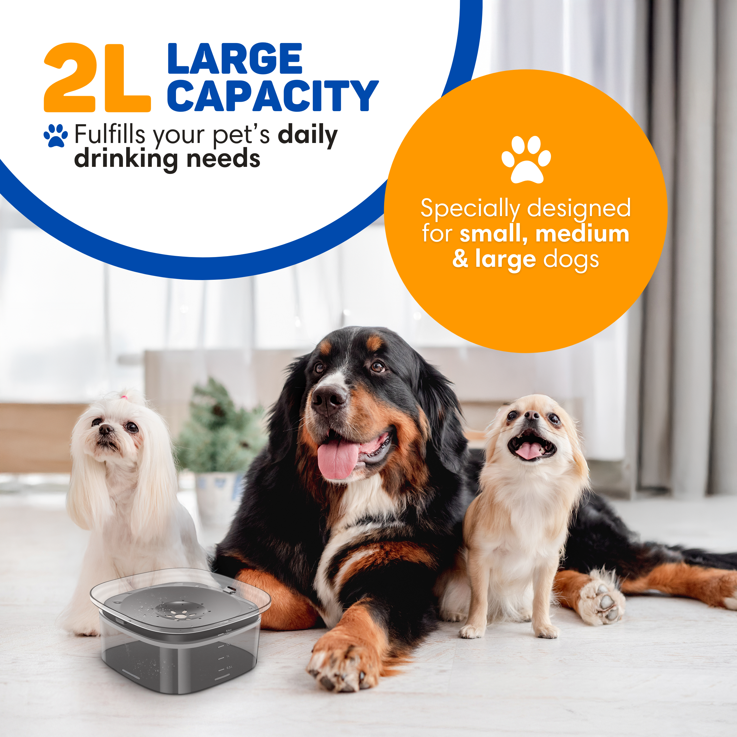 Three dogs and an indoor pet water fountain.