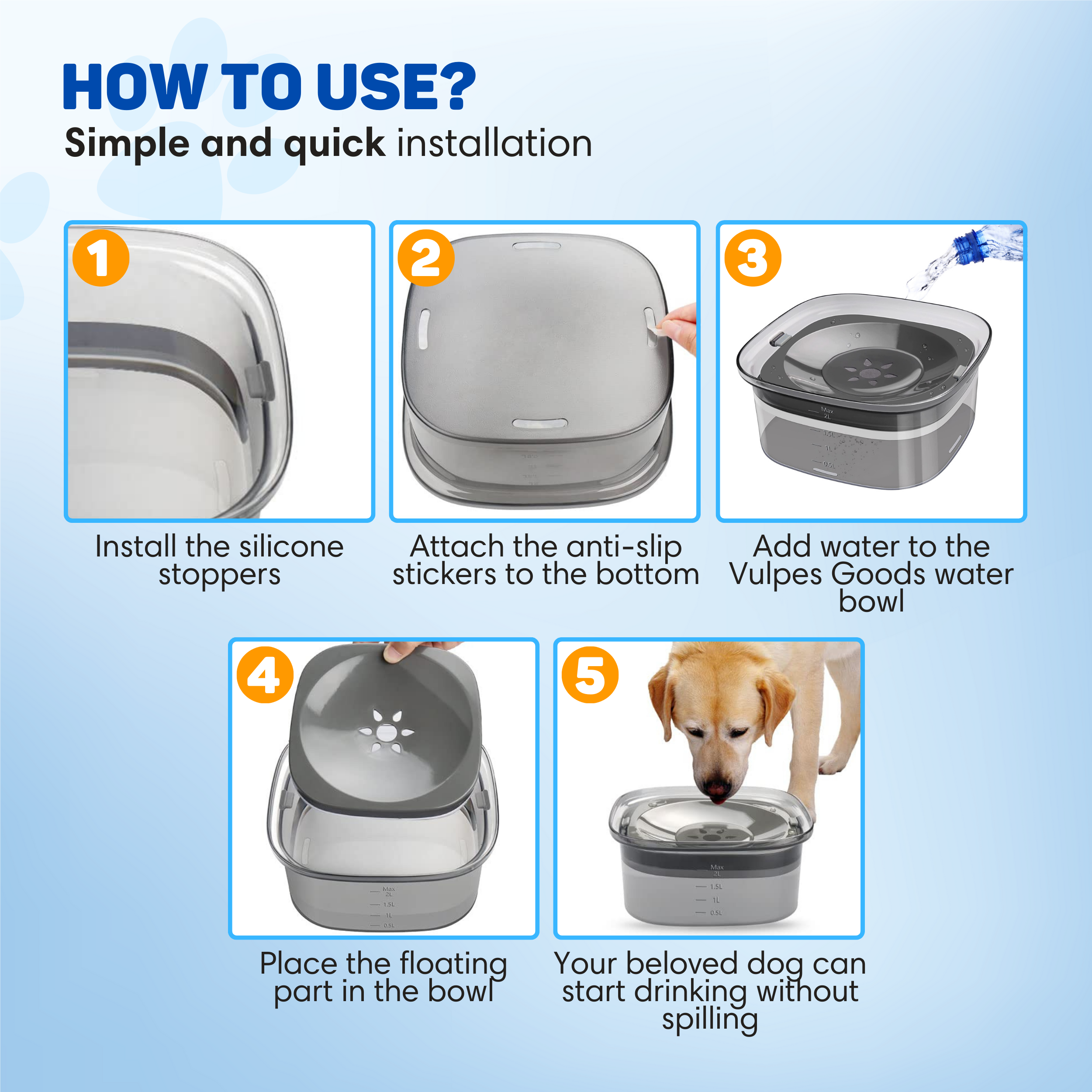 Instructions for using a dog water bowl in 5 steps.