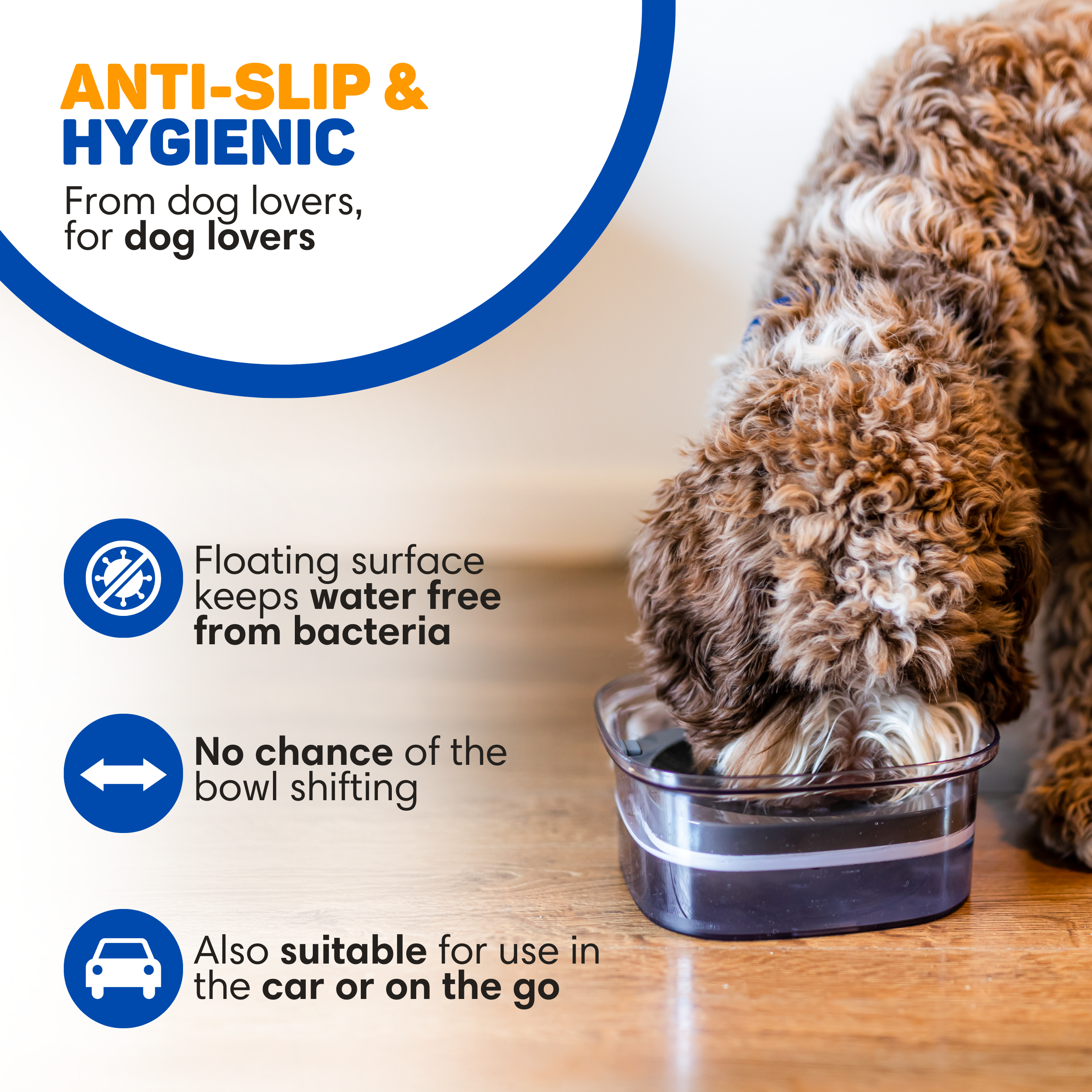 A dog drinks from a bowl with a floating surface, anti-slip.