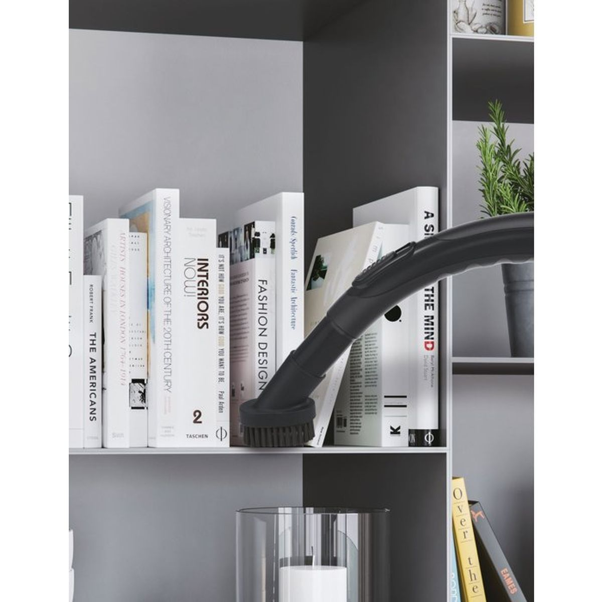 Dysza odkurzacza czyści półkę z książkami i roślinami.