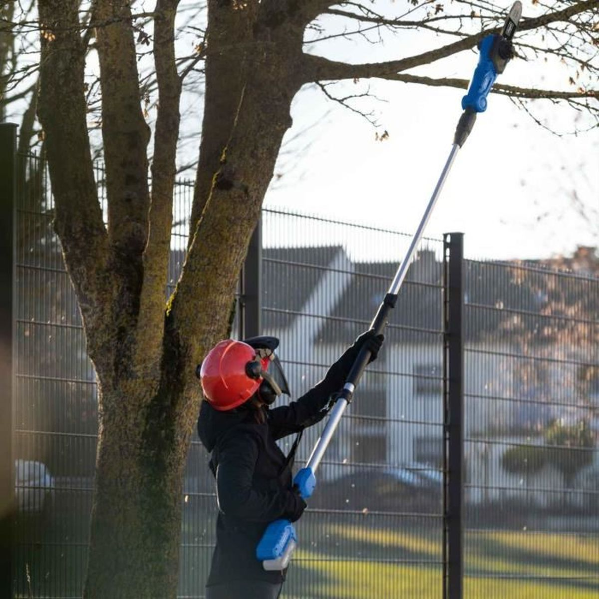 Person in rotem Helm trimmt Baum mit Heckenschere auf Stange.