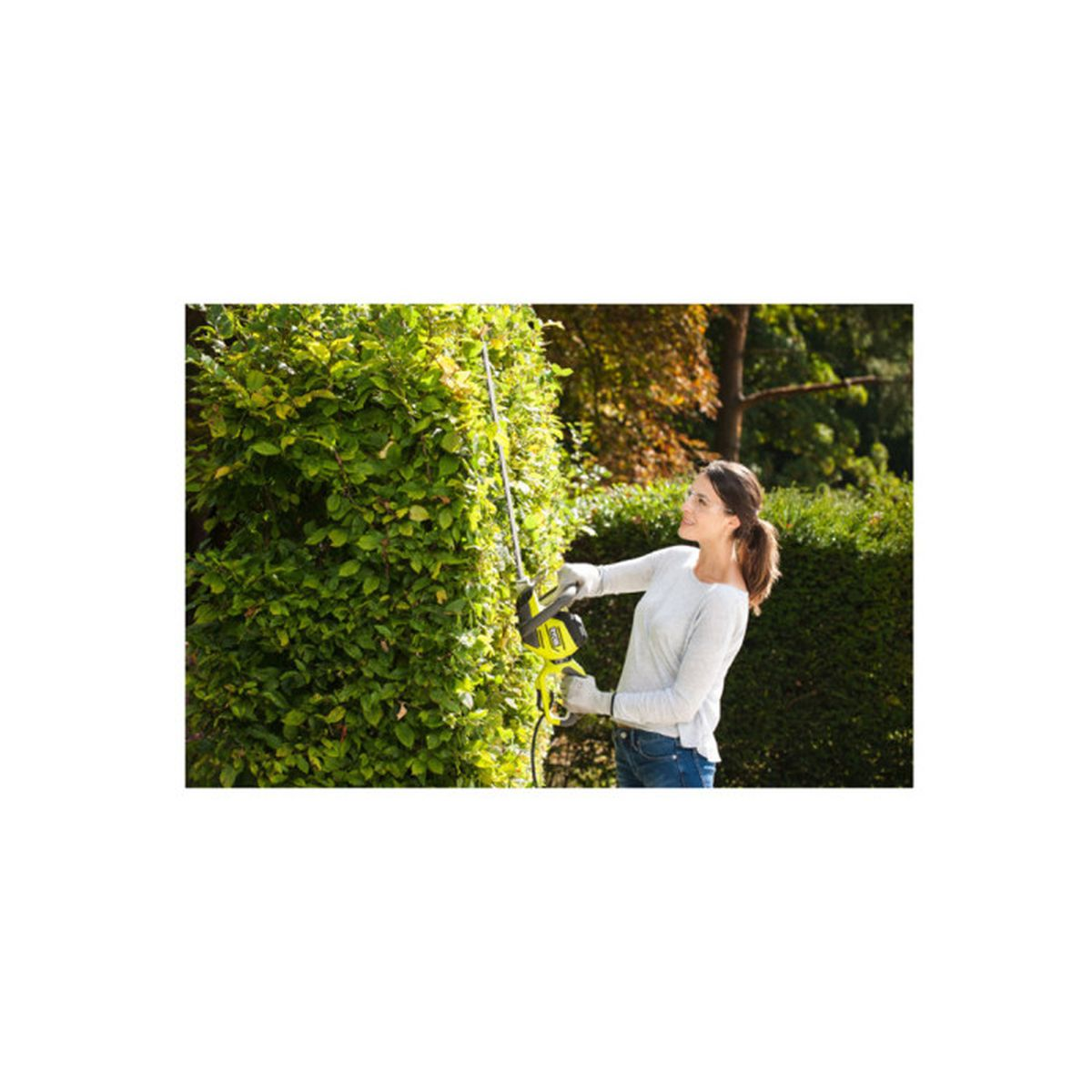 Frau schneidet Hecke mit Heckenschere im Garten. Grüne Blätter, sonniger Tag.