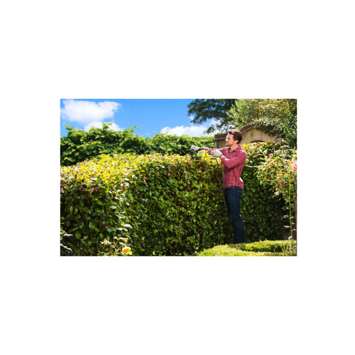 Mann schneidet Hecke mit Heckenschere, trägt kariertes Hemd und Handschuhe.