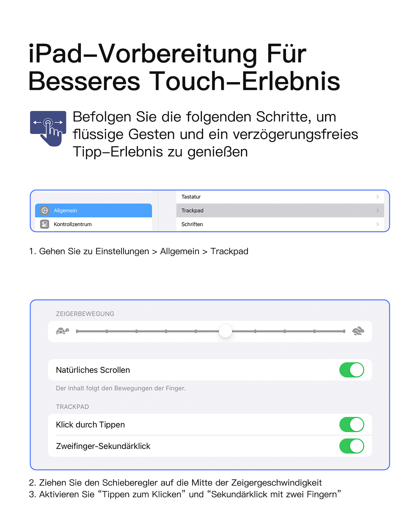 iPad-Einstellungen: Cursorbewegung, Scrollen, Tippen und Zweifinger-Sekundärklick.