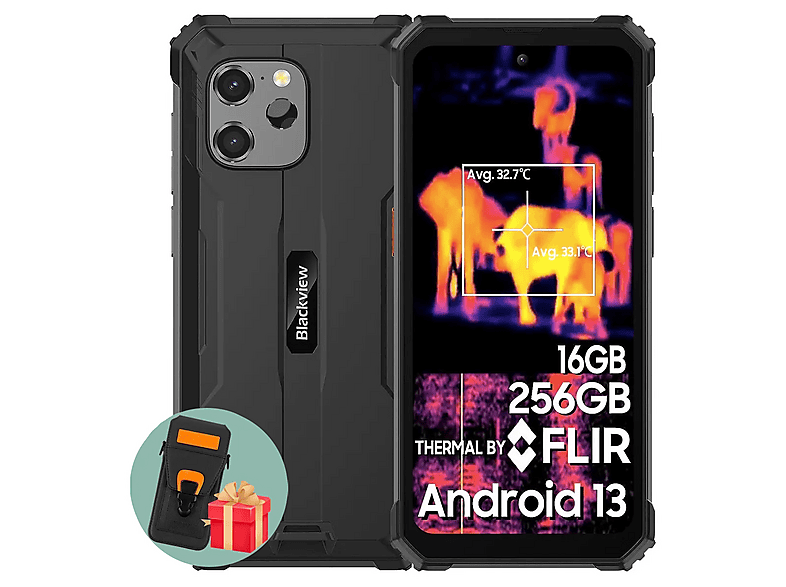 BLACKVIEW BV8900 Mit Ledertasche 256 GB Schwarz Dual SIM