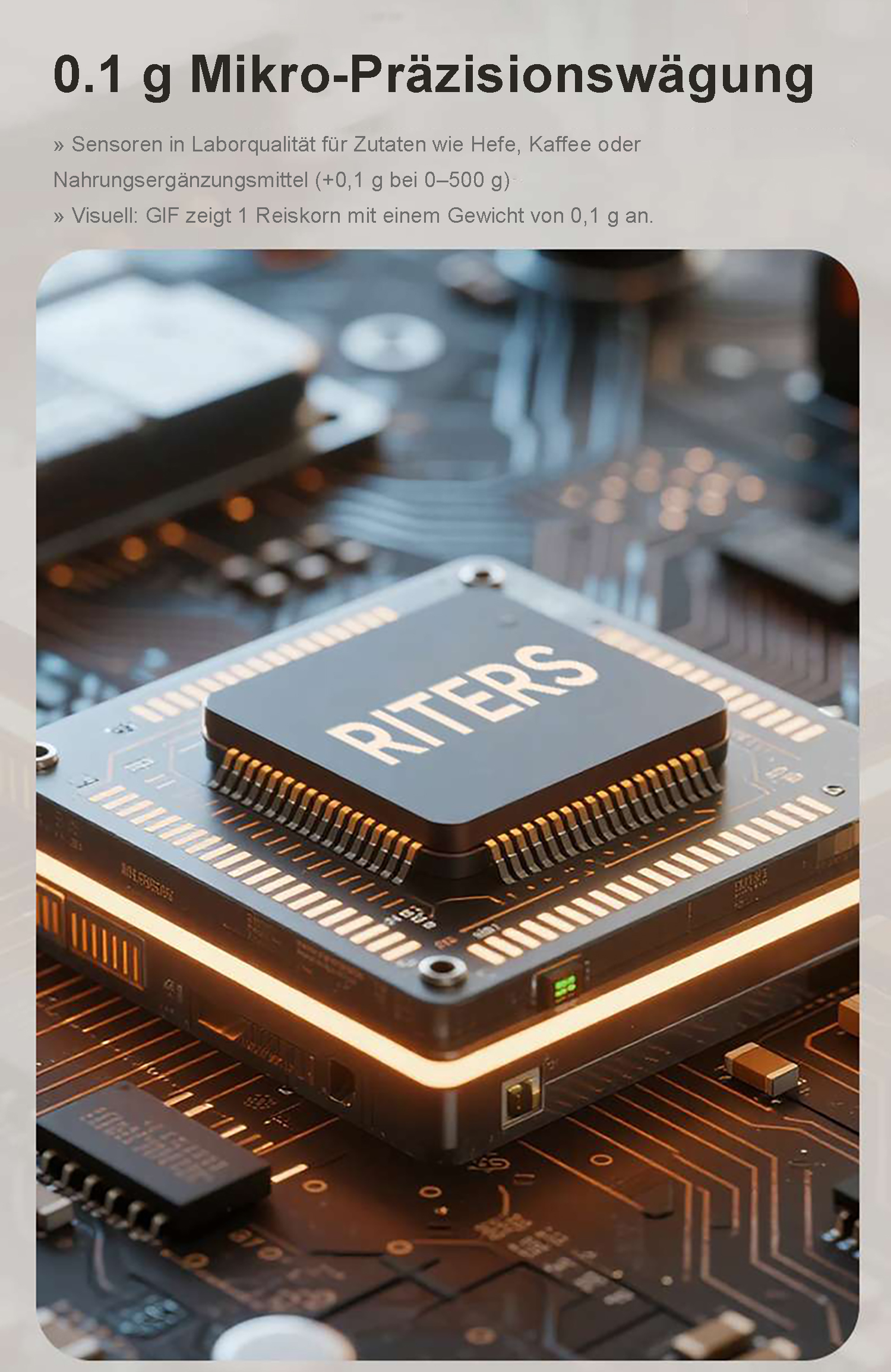 Eine Platine mit einem Prozessor, der mit 'RITERS' beschriftet ist.