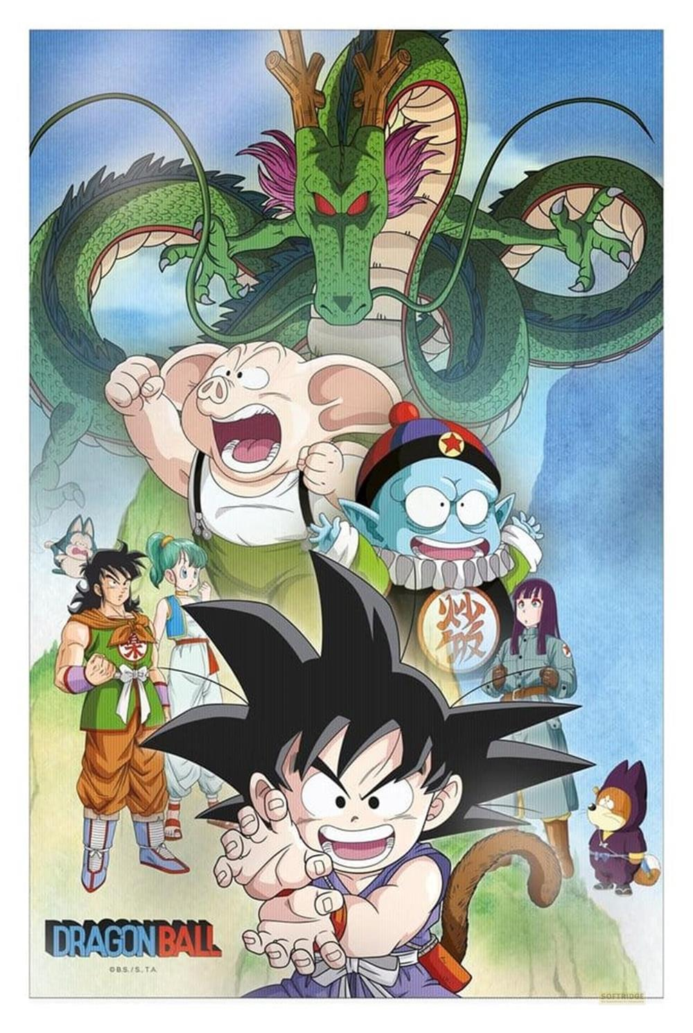 Dragon Ball Poster mit Goku, Shenlong, Oolong, Yamchu, Bulma und anderen.