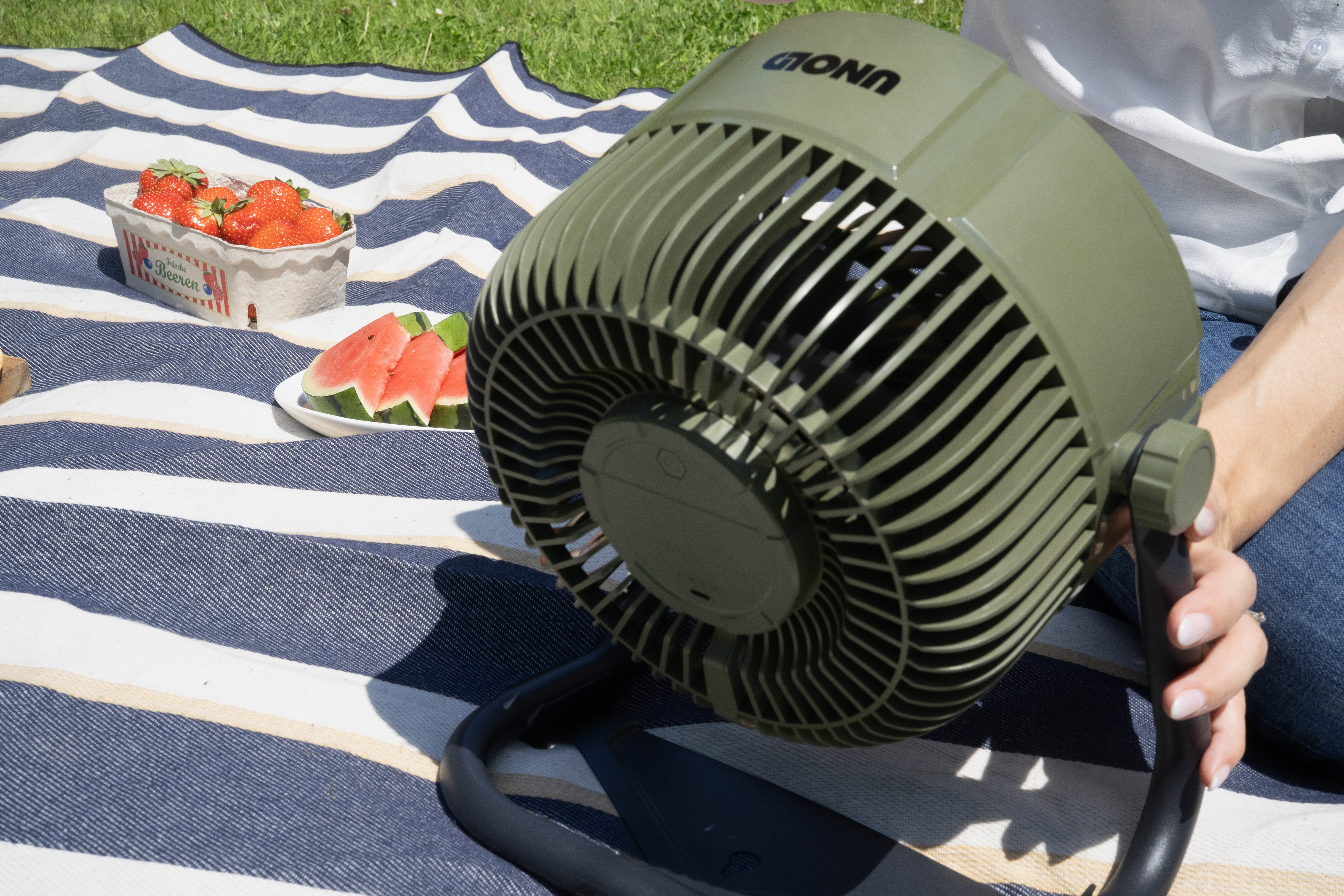 Zielony wentylator na pasiastym kocu z truskawkami i arbuzem.