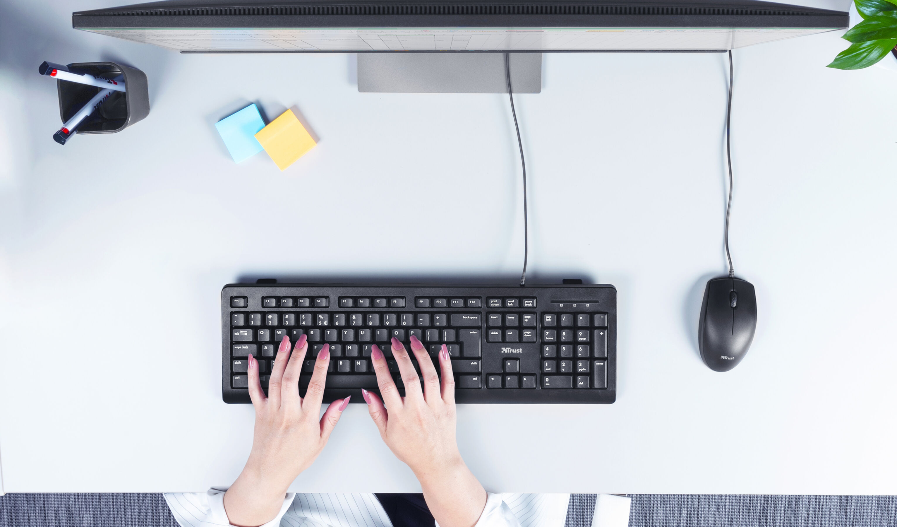 Dłonie piszące na klawiaturze z monitorem, myszką i pojemnikiem na długopisy.
