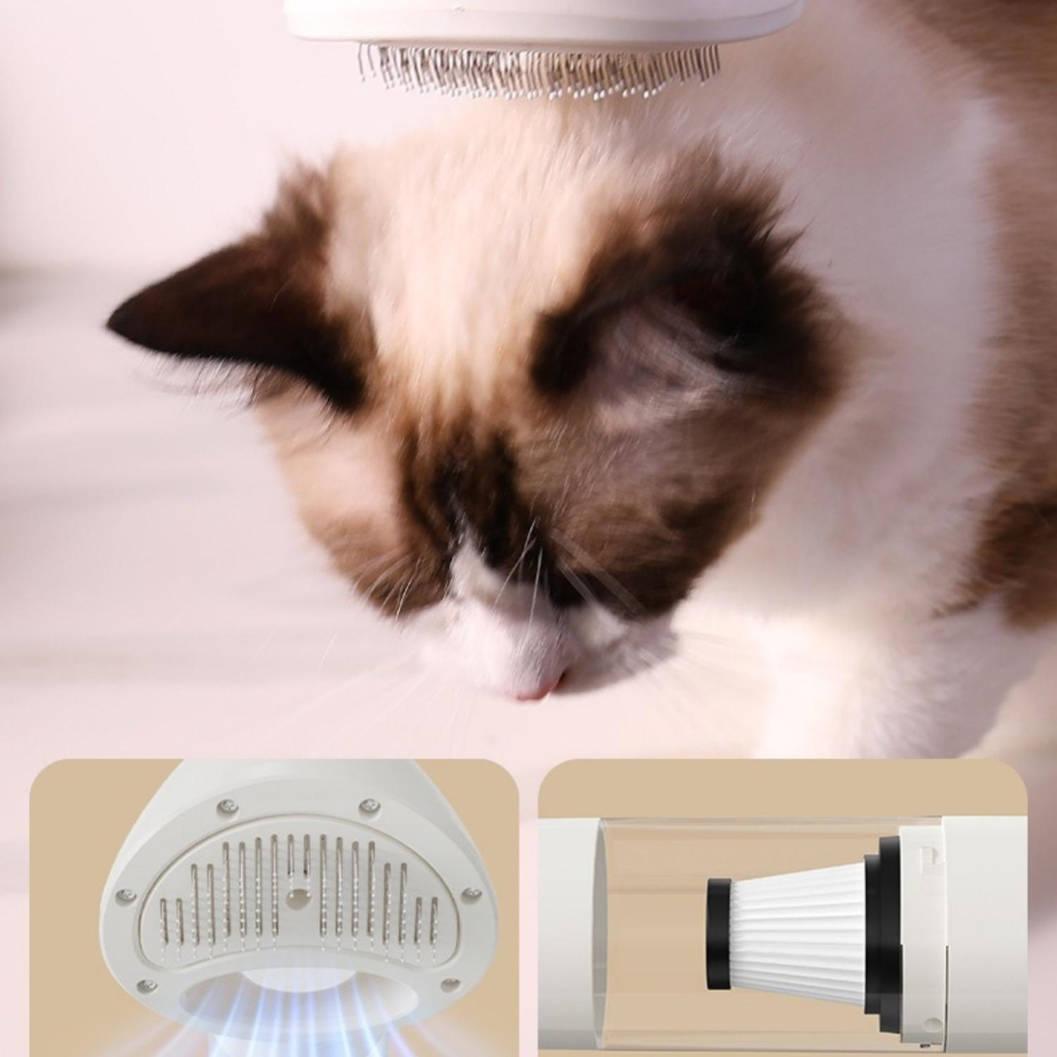 Eine Katze wird mit einem Kamm-Staubsauger gepflegt. Detailansichten zeigen den Kamm und den Filter.