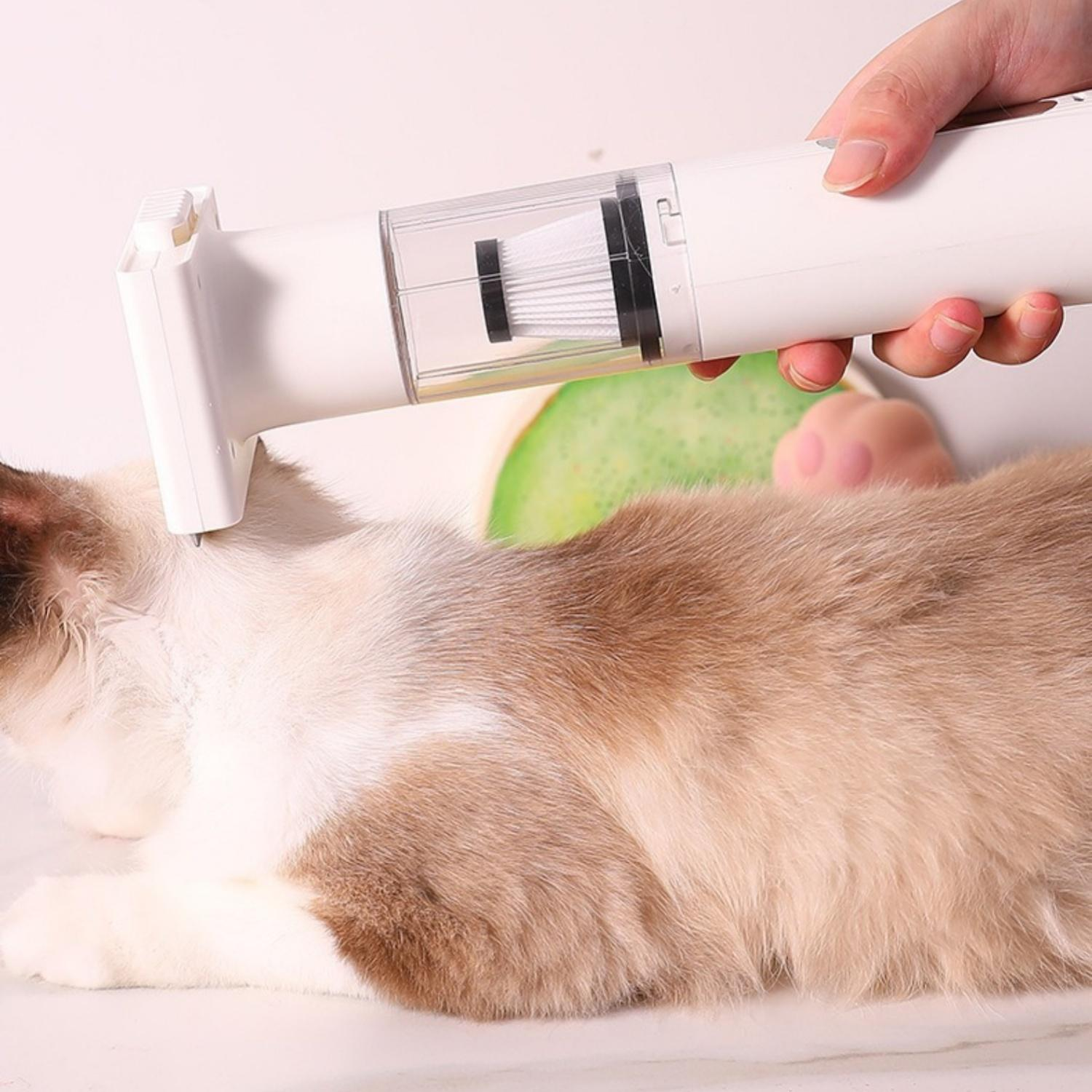 Eine Hand hält ein weißes Haustierpflegegerät über einer Katze mit braunem und weißem Fell.