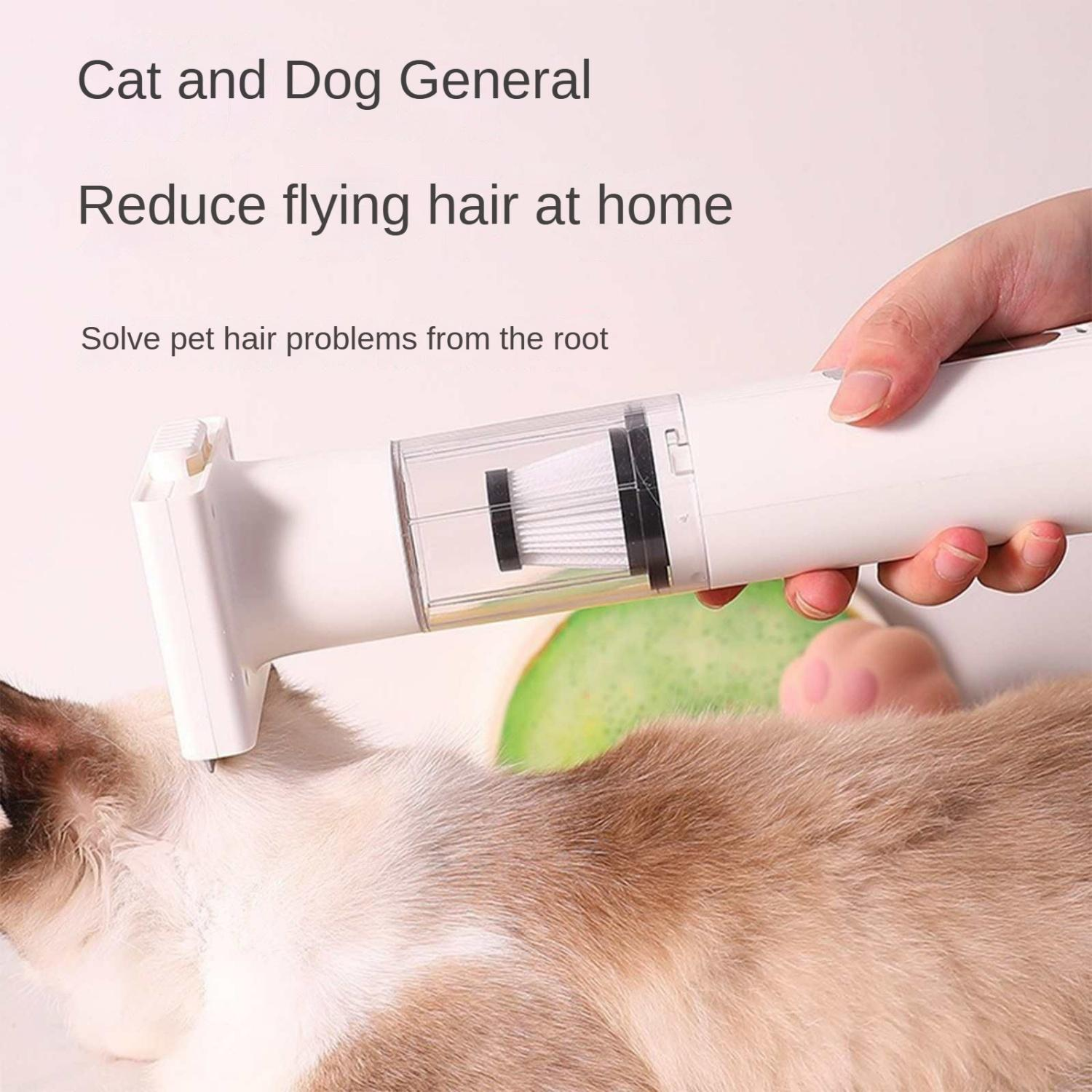 Ein weißes Haustierpflegegerät wird auf dem Fell einer Katze verwendet.