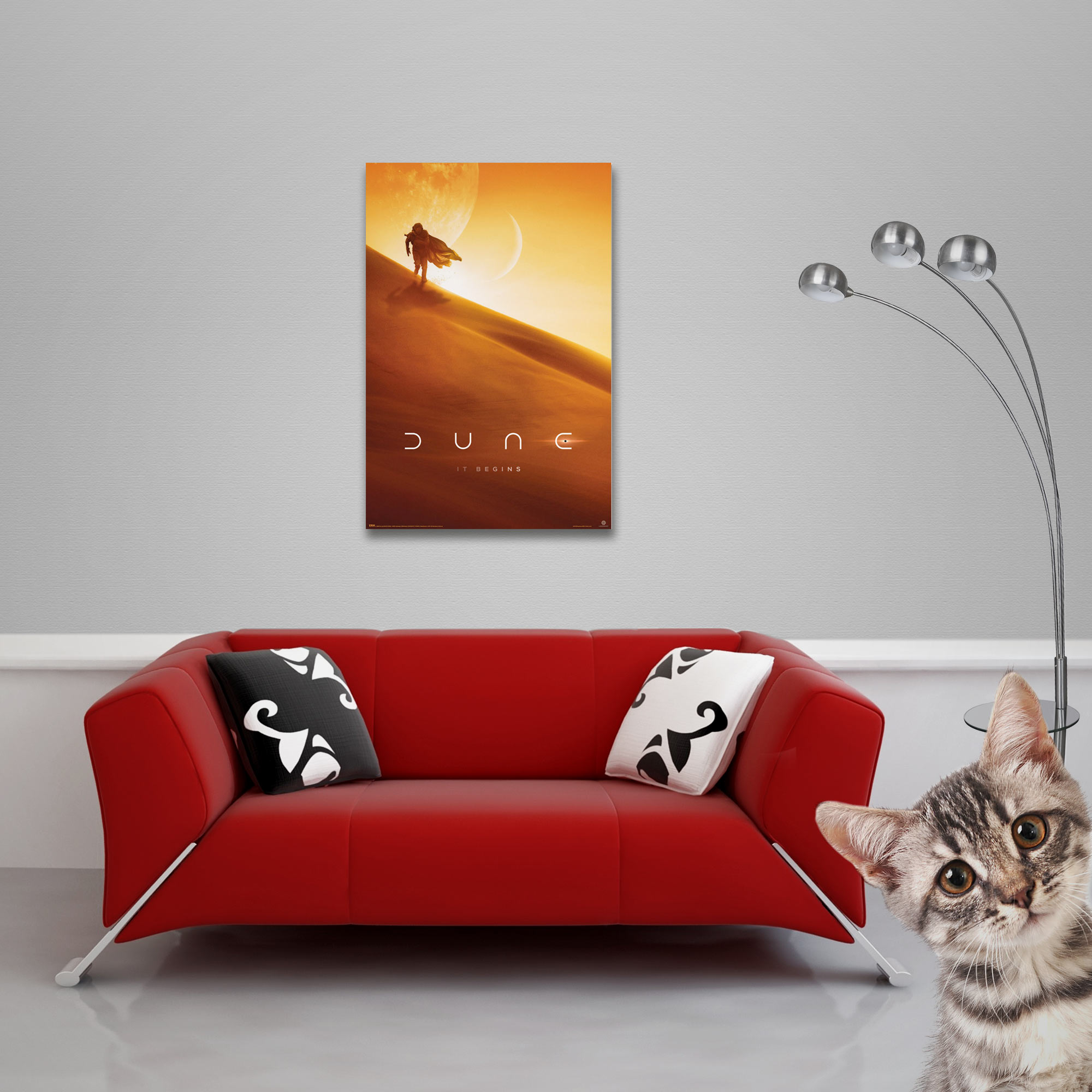Ein rotes Sofa mit Kissen, ein Poster, eine Lampe und eine Katze.