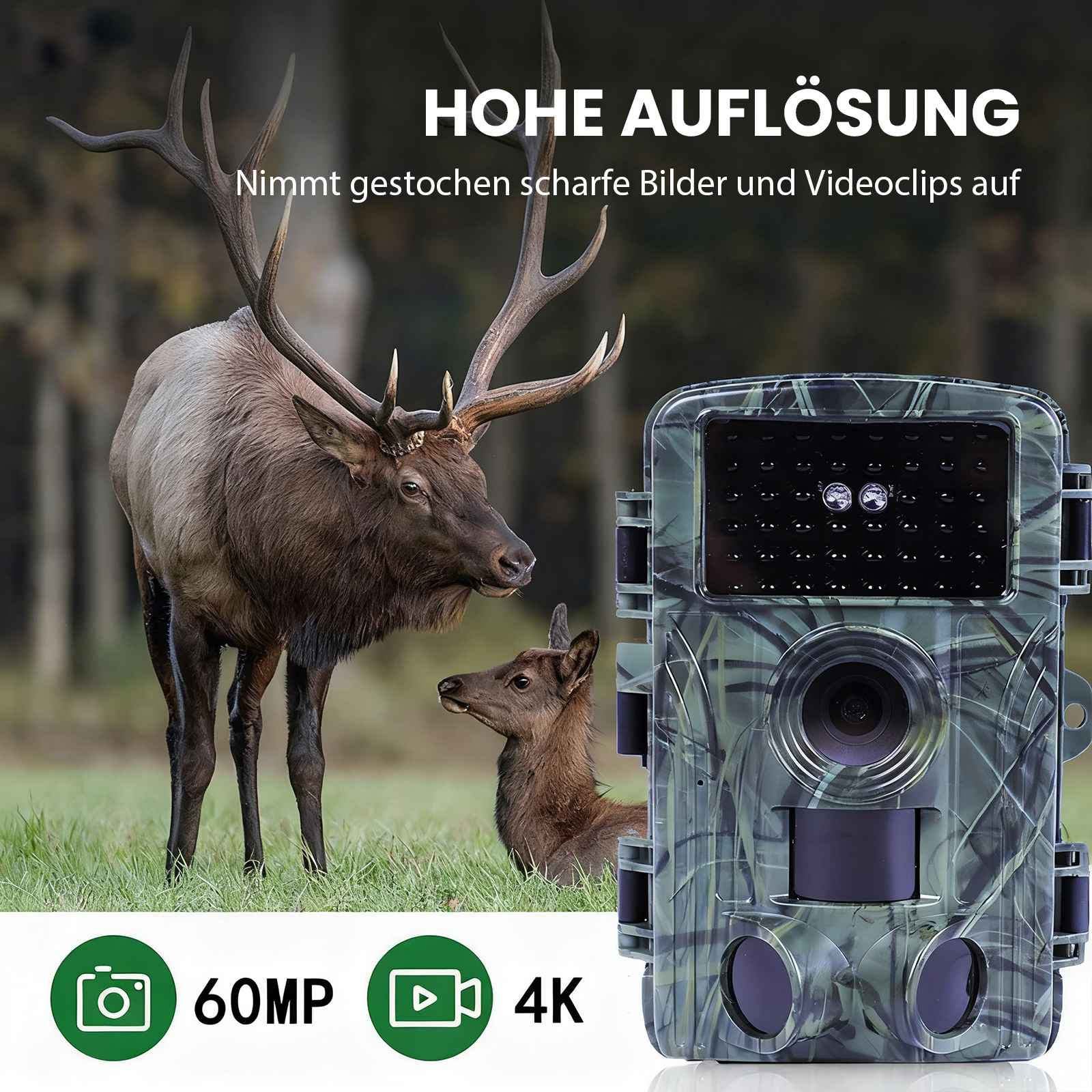 Wildkamera mit 60MP und 4K-Video neben einem Hirsch und einem Kalb im Wald.