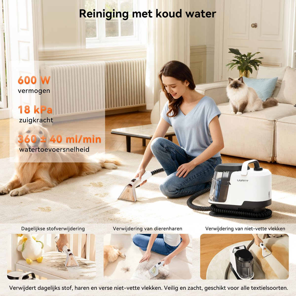 Kobieta czyści dywan urządzeniem; pies i kot w tle.