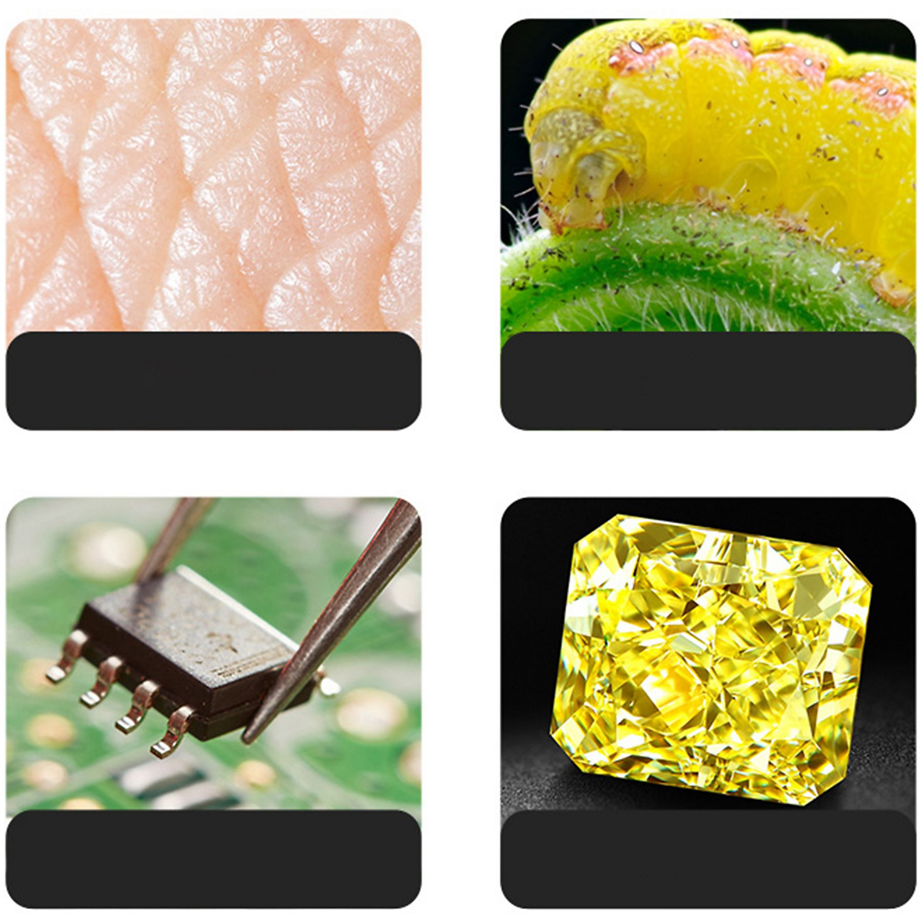 Vier Nahaufnahmen: menschliche Haut, eine gelbe Raupe auf einem grünen Blatt, ein Mikrochip, der von einer Pinzette gehalten wird, und ein gelber Diamant.
