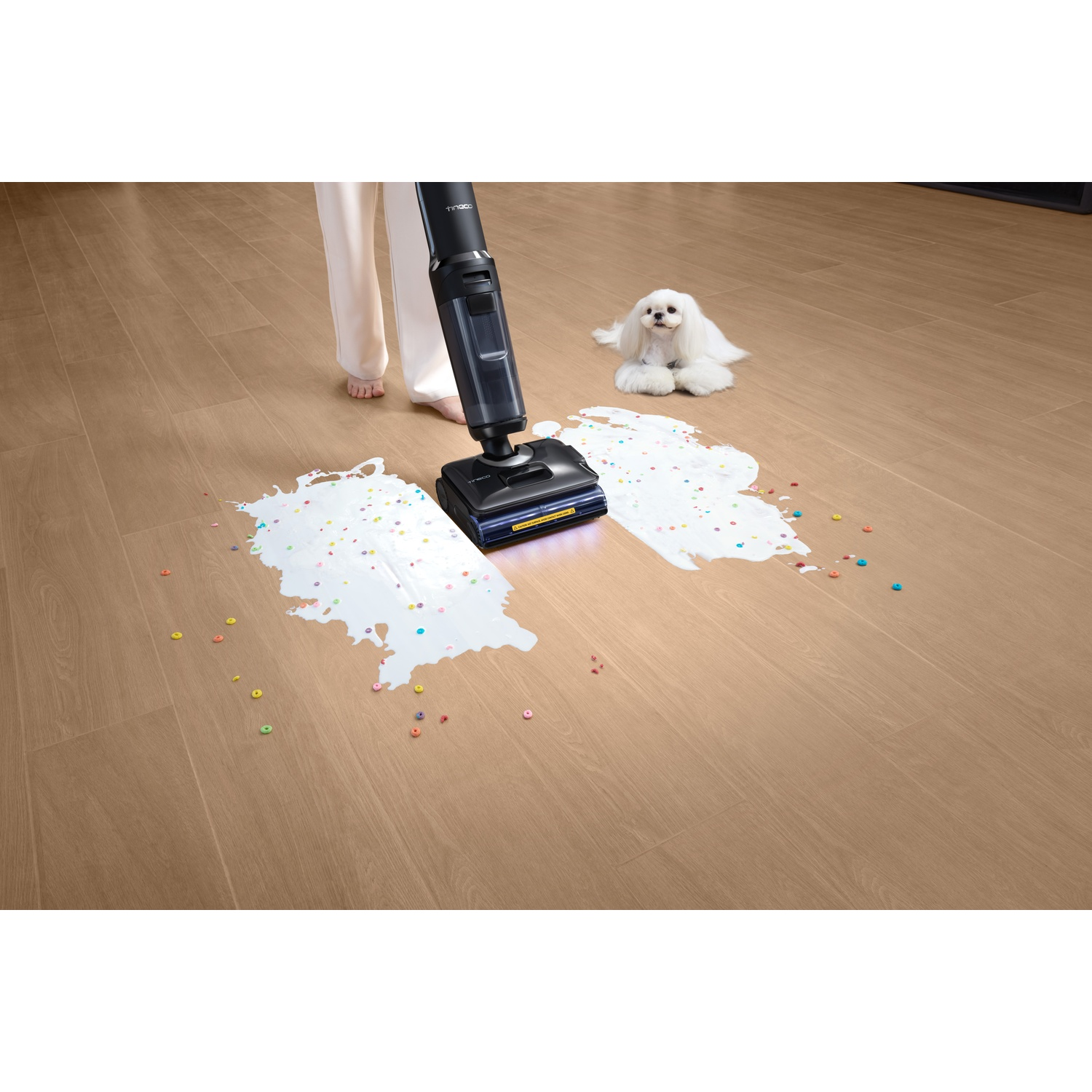 Odkurzacz czyści rozlanie mleka i płatków na drewnianej podłodze. Biały pies patrzy.